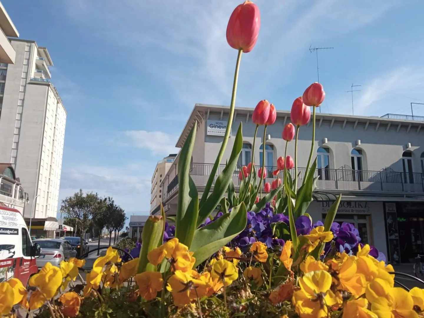 Day in Hotel Ginevra