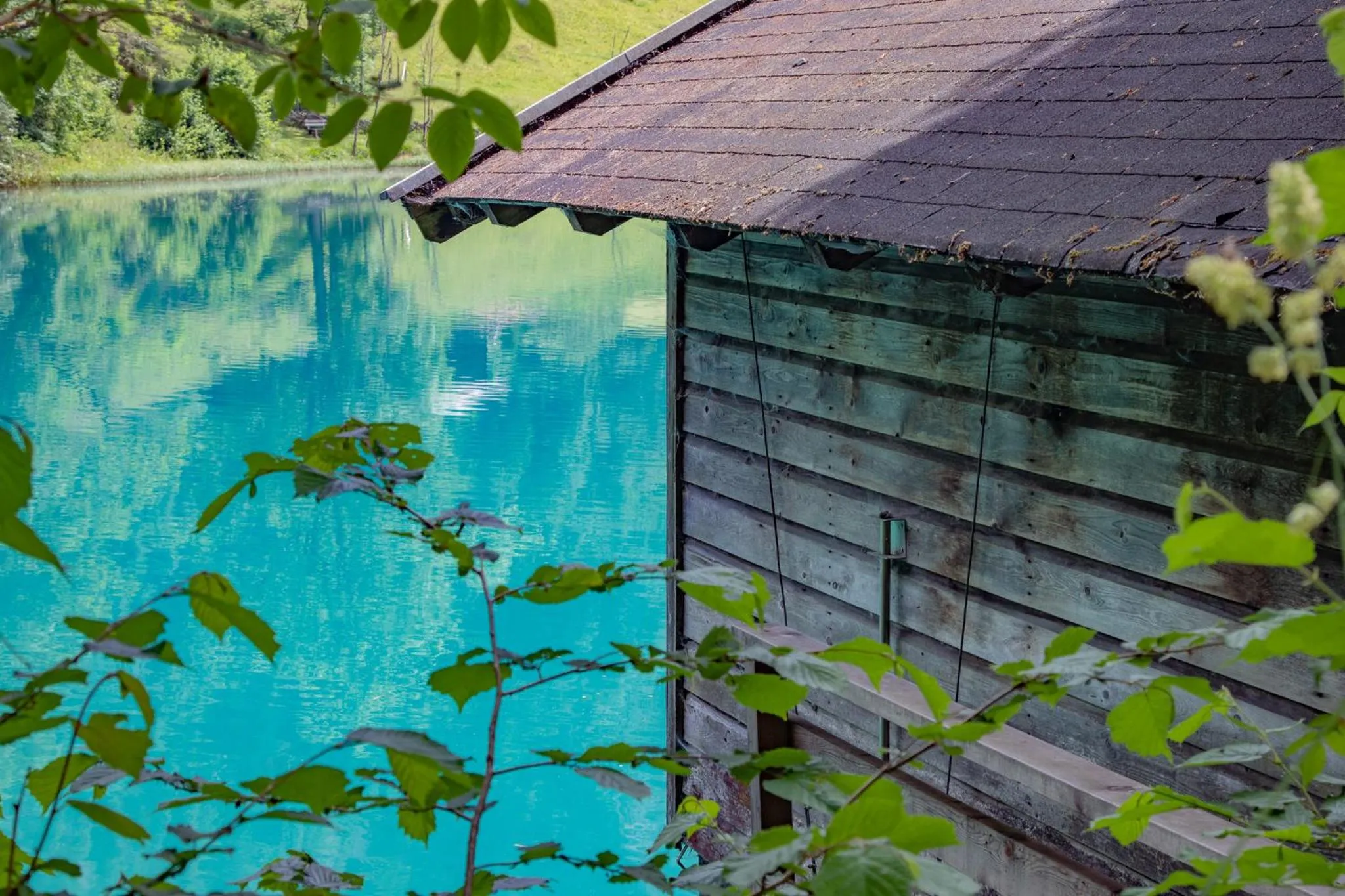 Natural landscape in Hotel Pension Hubertus