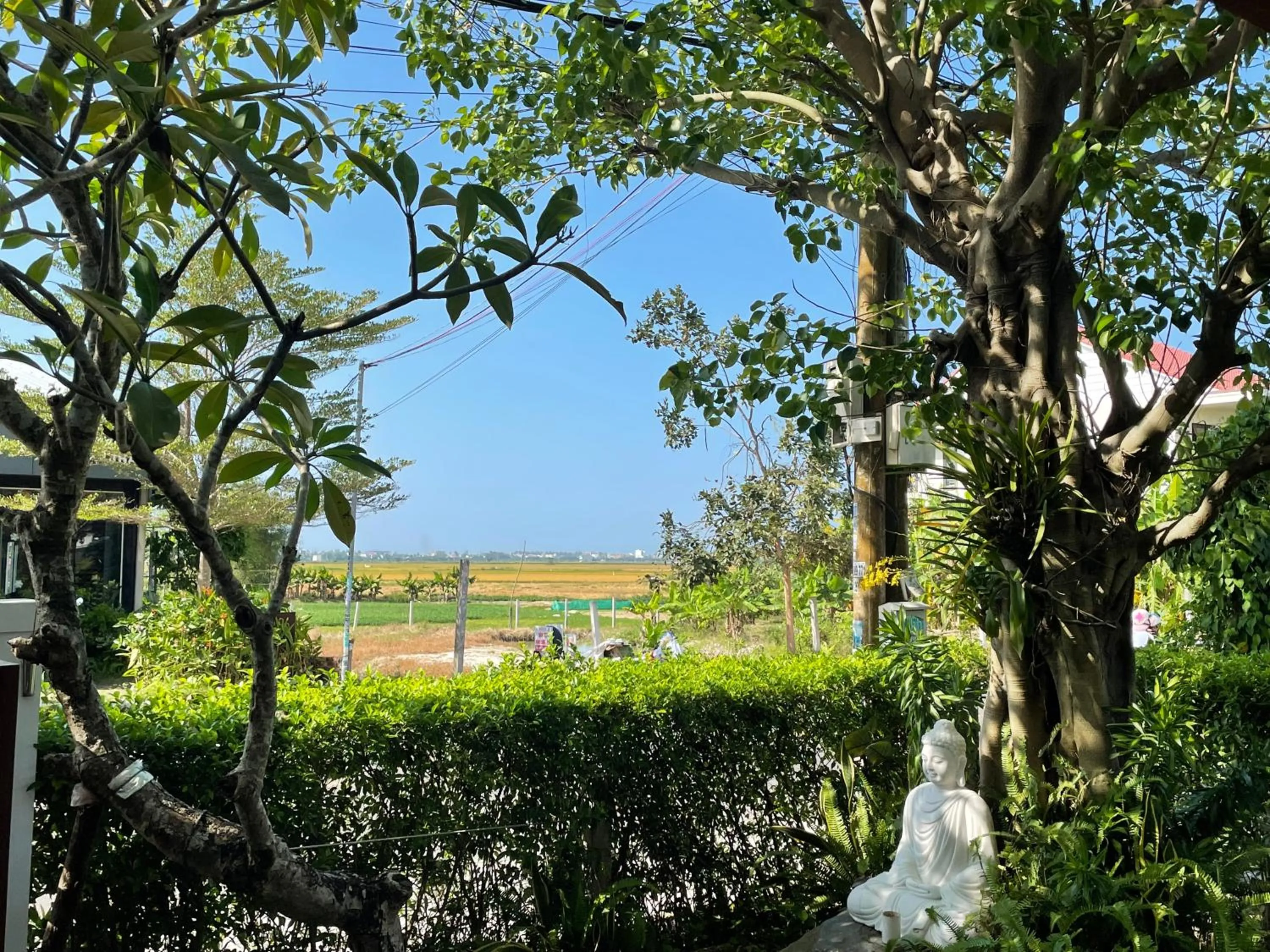 Natural landscape in ZEN Boutique Hoi An - Eco-Friendly Villa