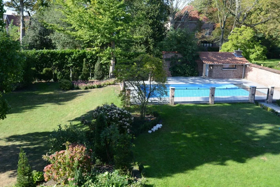 Swimming pool in Notarishuis Beveren B&B