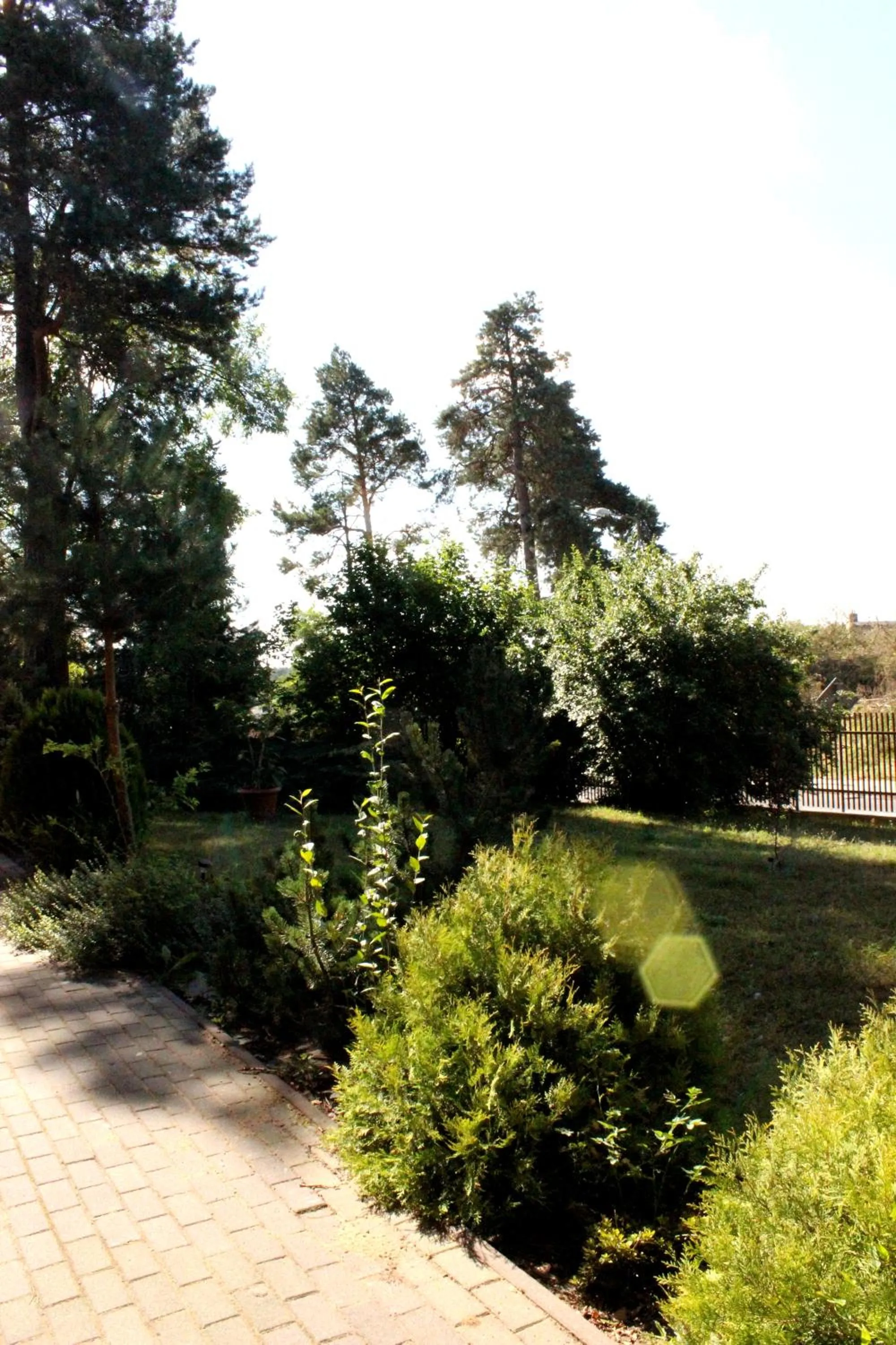 Area and facilities in Sosnowe Zacisze