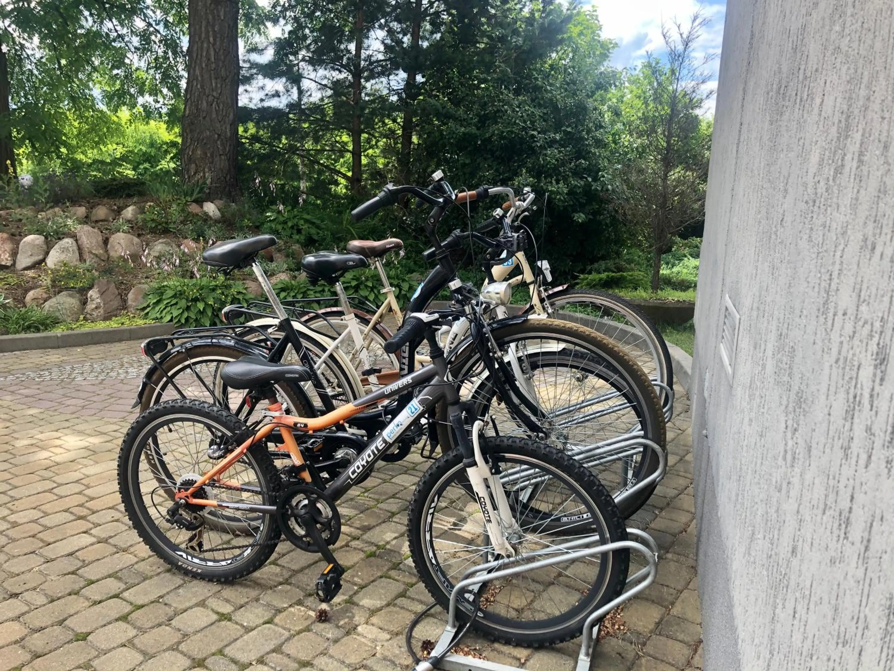 Cycling in Sosnowe Zacisze