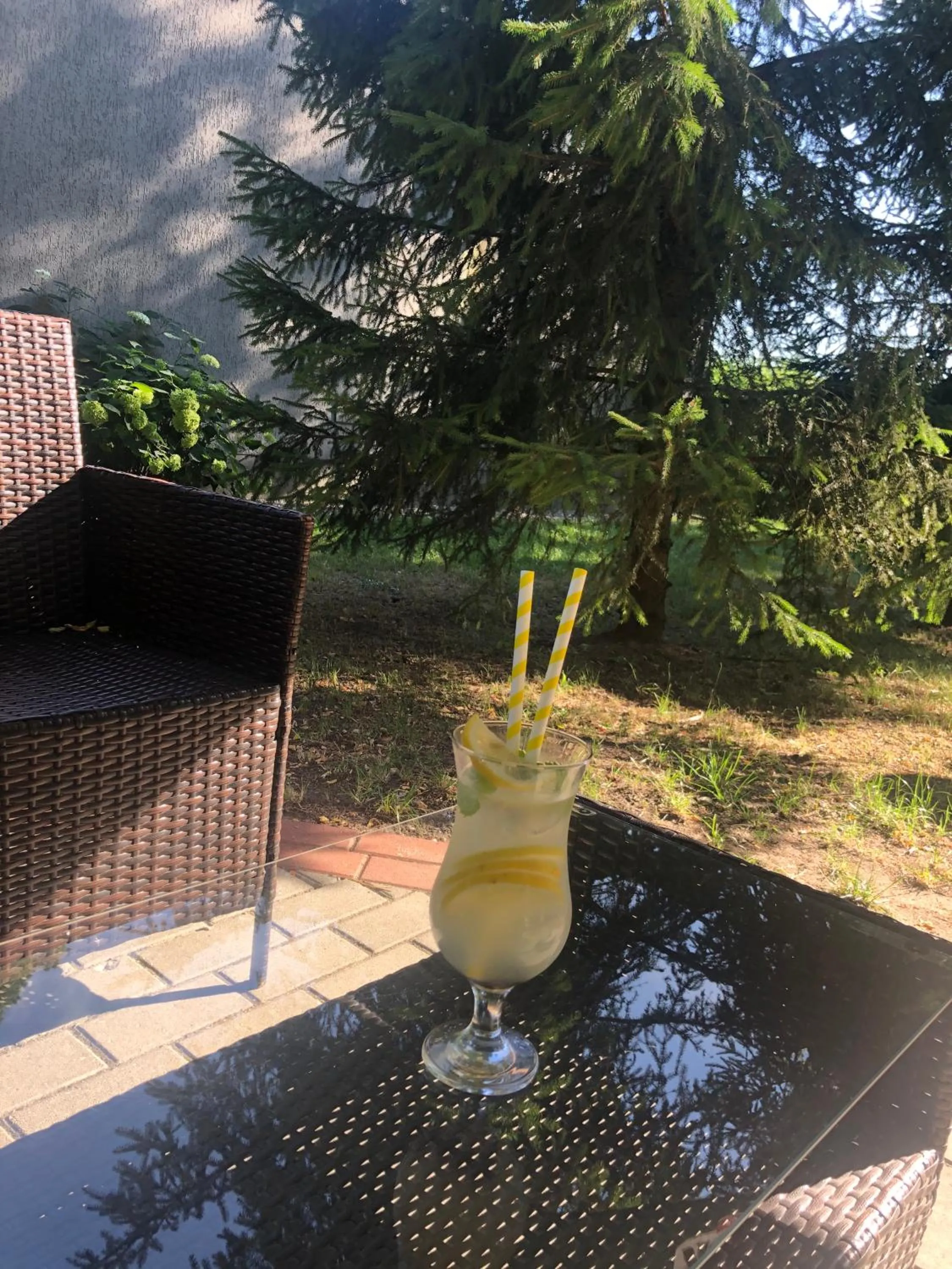 Garden in Sosnowe Zacisze