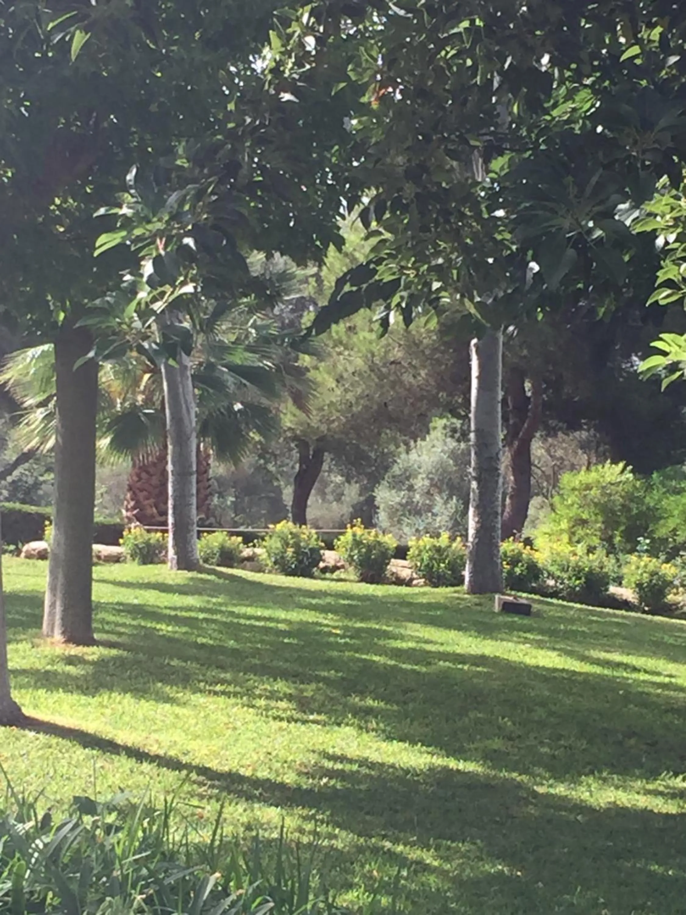 Garden view in Hotel Club Cala Romani