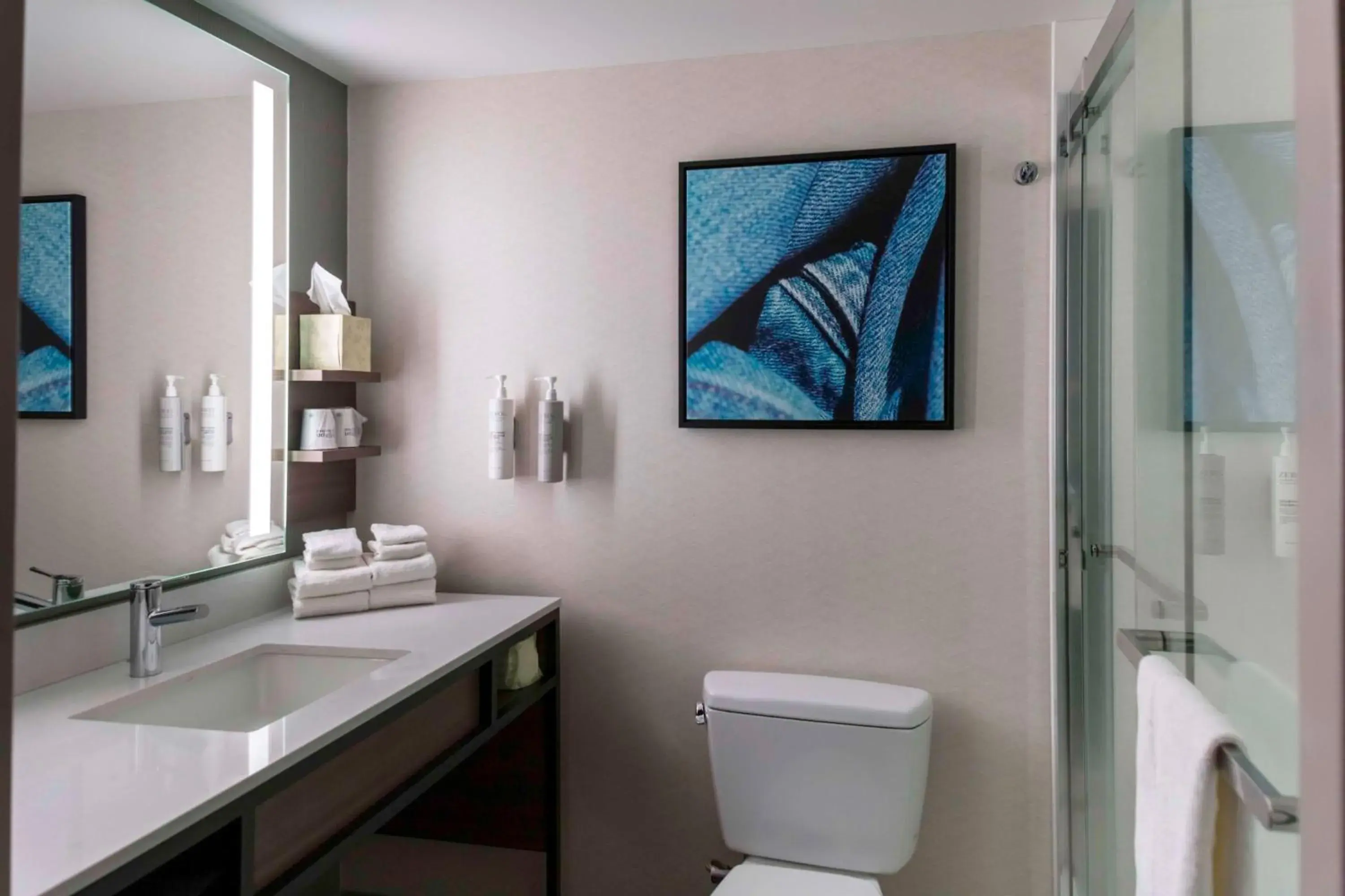 Bathroom in Hilton Garden Inn Roanoke Rapids Bathroom in Hilton Garden Inn Roanoke Rapids