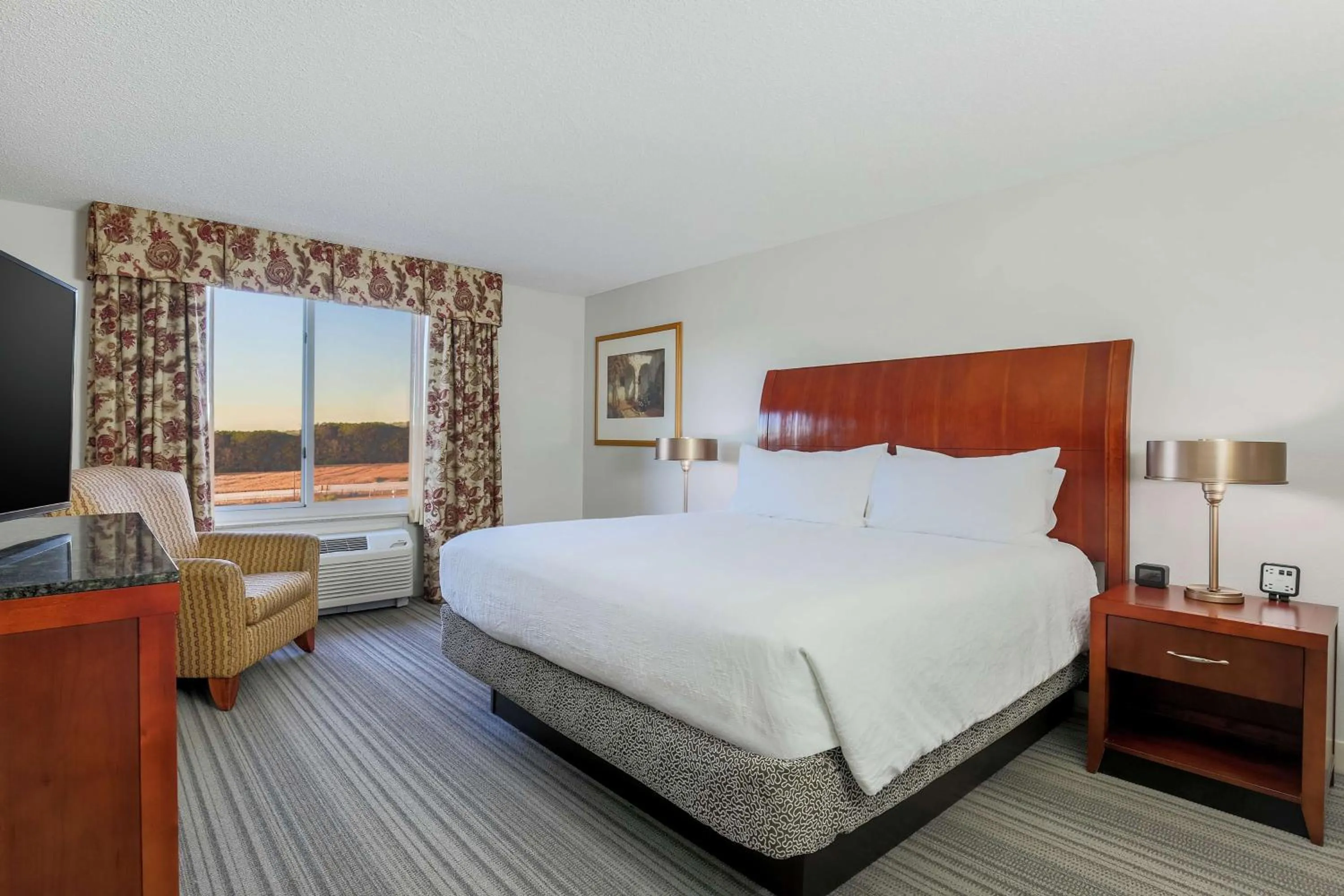 Bedroom, Bed in Hilton Garden Inn Roanoke Rapids