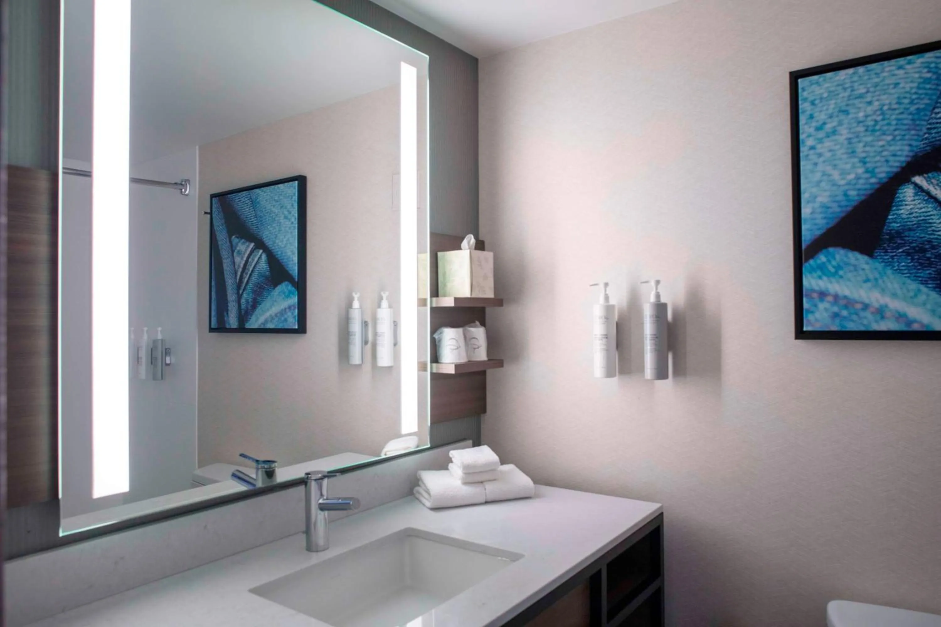 Bathroom in Hilton Garden Inn Roanoke Rapids