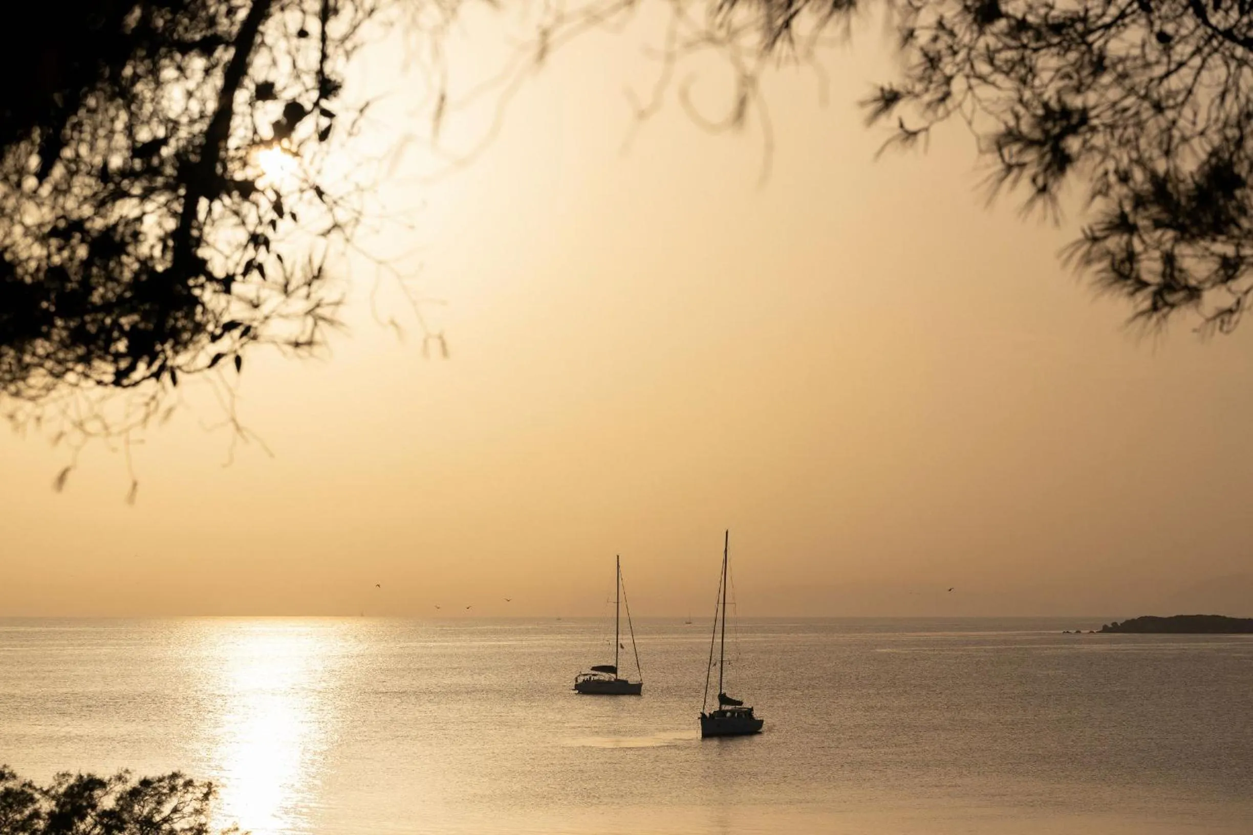 Natural landscape in Four Seasons Astir Palace Hotel Athens