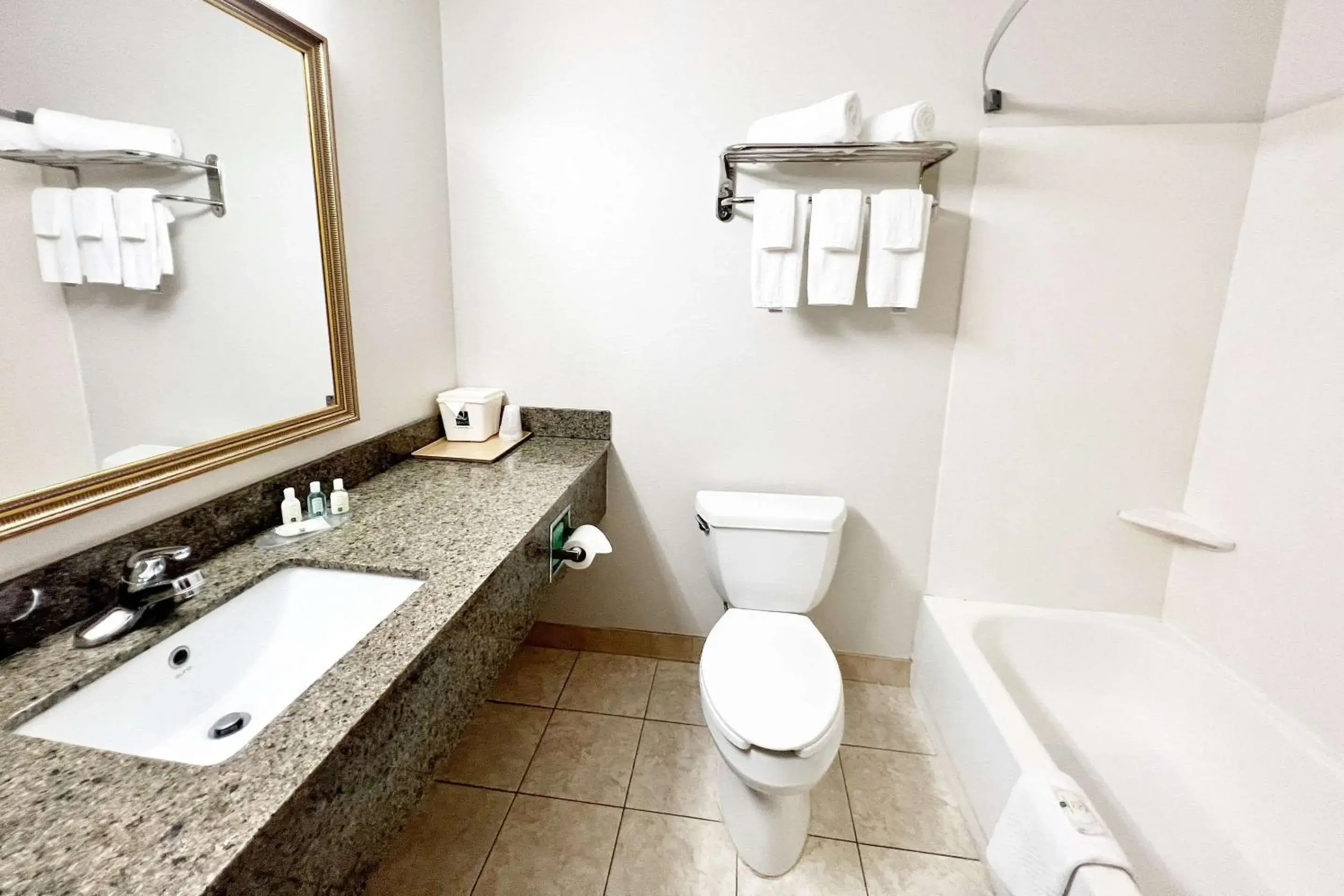 Bedroom in Quality Inn Gainesville I-75 Bedroom in Quality Inn Gainesville I-75