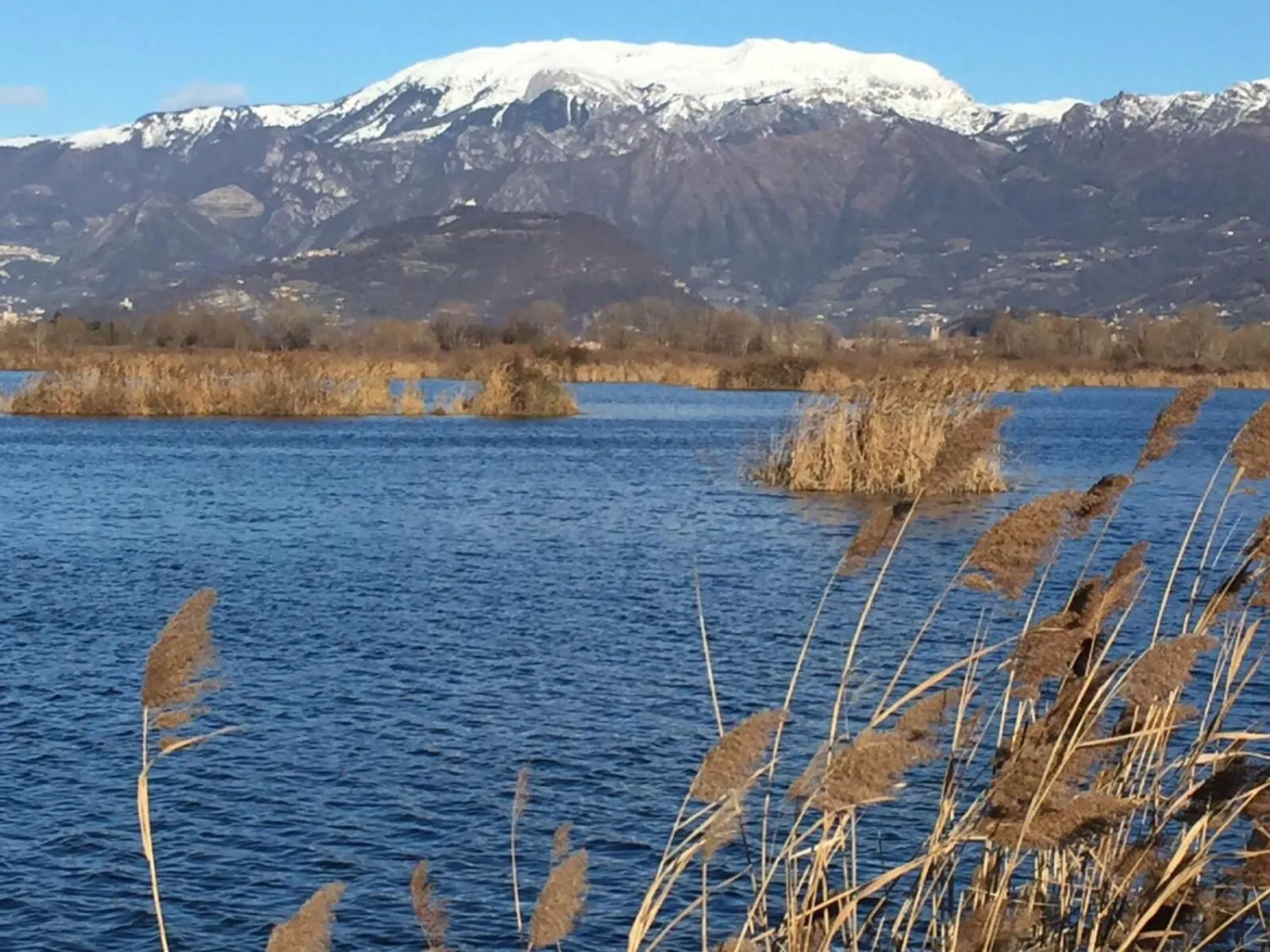 Natural landscape in B & B Da Giusy