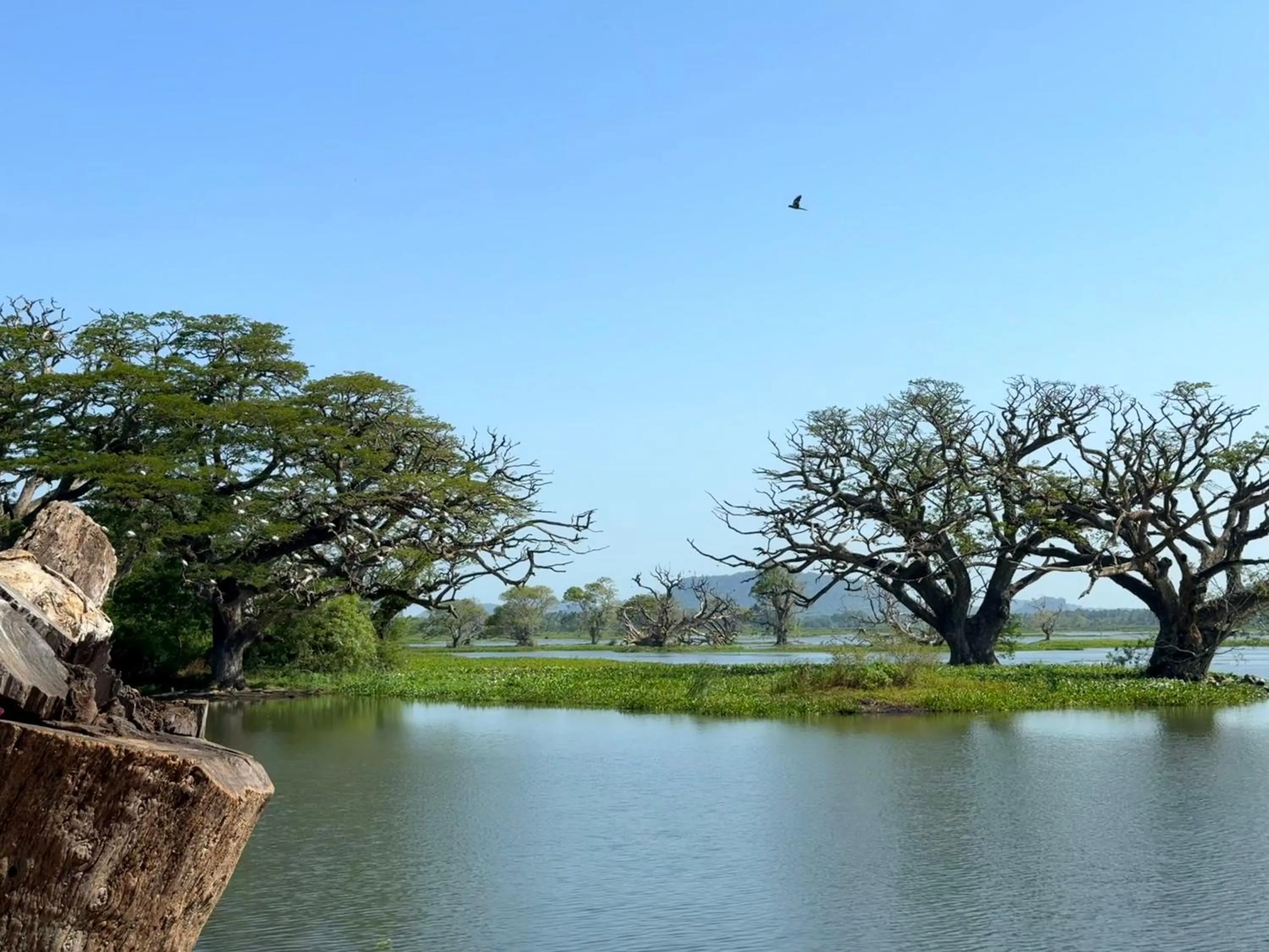 Nearby landmark in Nyne Hotels Mayur Lodge - Yala - All Inclusive