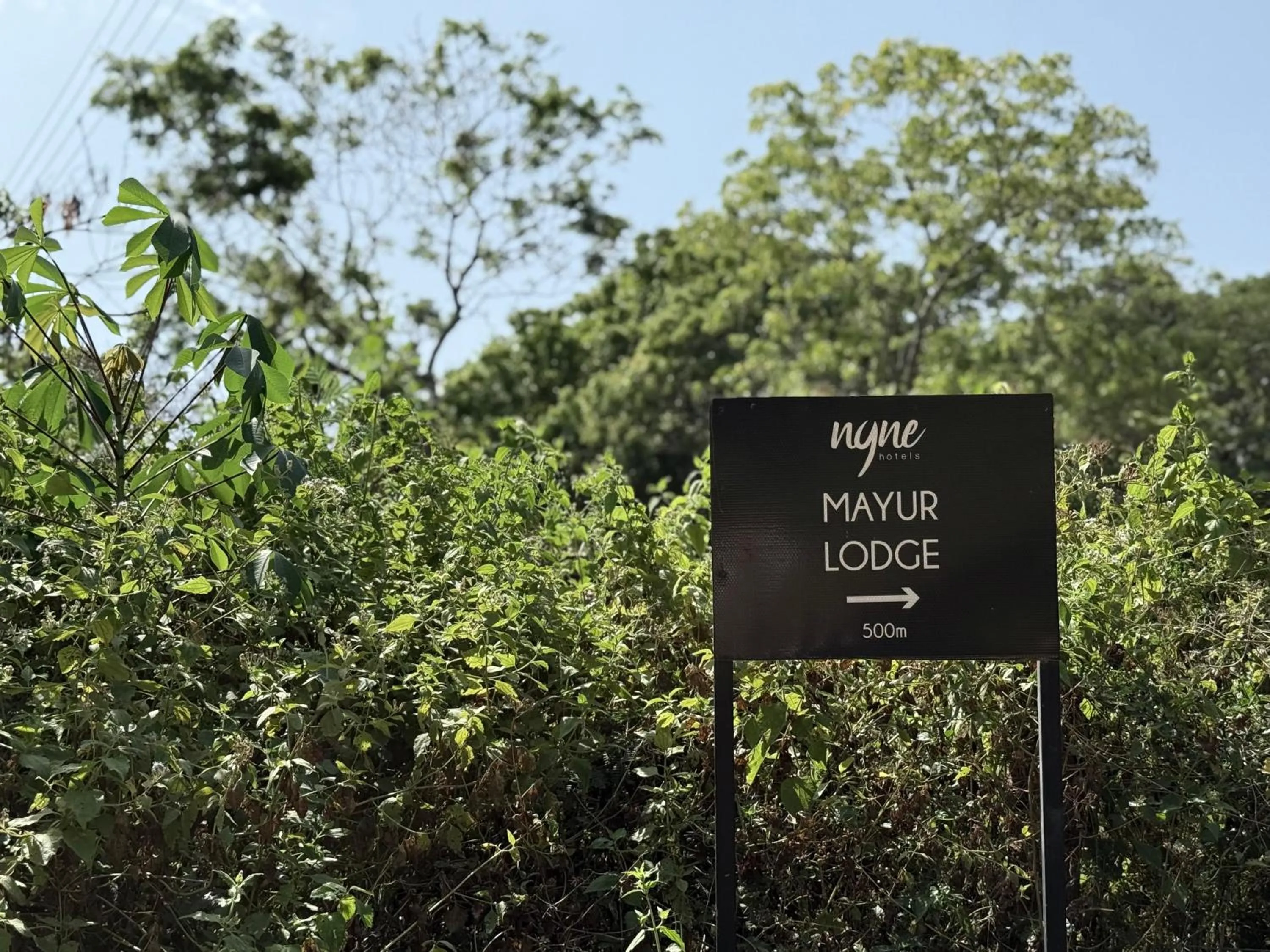 Property logo or sign in Nyne Hotels Mayur Lodge - Yala - All Inclusive