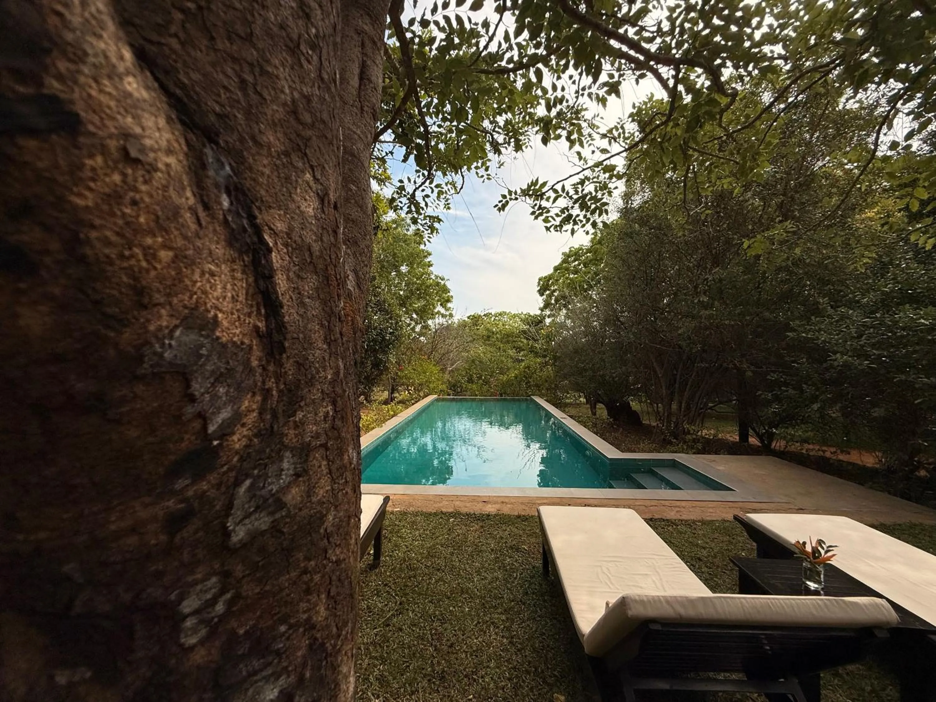 Spring in Nyne Hotels Mayur Lodge - Yala - All Inclusive