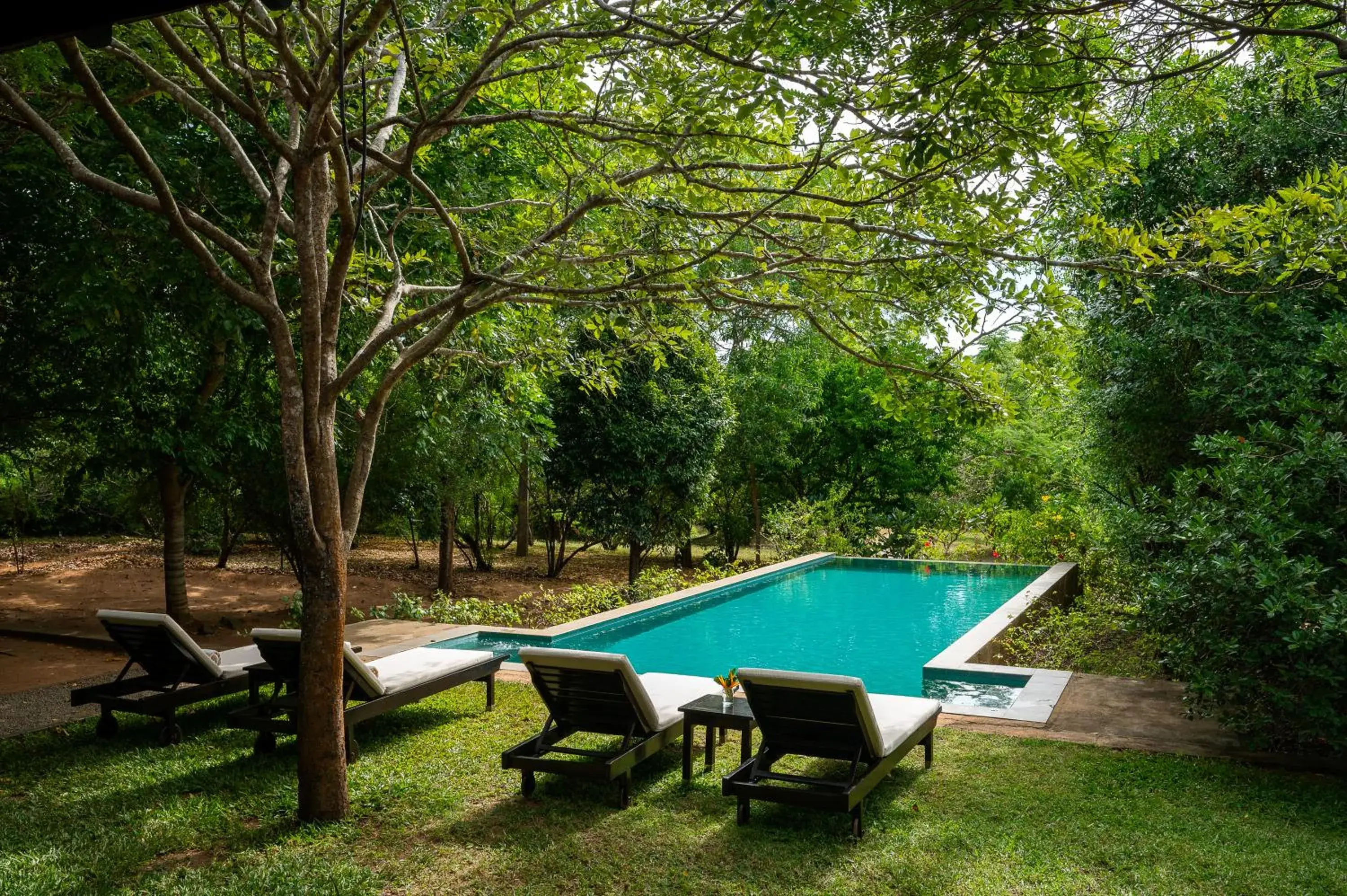 Two Bedroom All Inclusive Luxury Private Villa with Pool -Inclusive of one Game Drive in Nyne Hotels Mayur Lodge - Yala - All Inclusive Two Bedroom All Inclusive Luxury Private Villa with Pool -Inclusive of one Game Drive in Nyne Hotels Mayur Lodge - Yala - All Inclusive