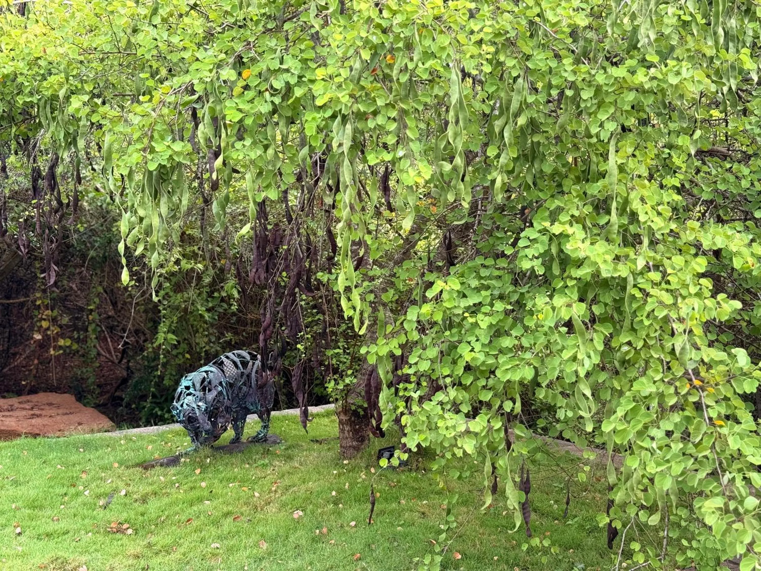 Spring in Nyne Hotels Mayur Lodge - Yala - All Inclusive