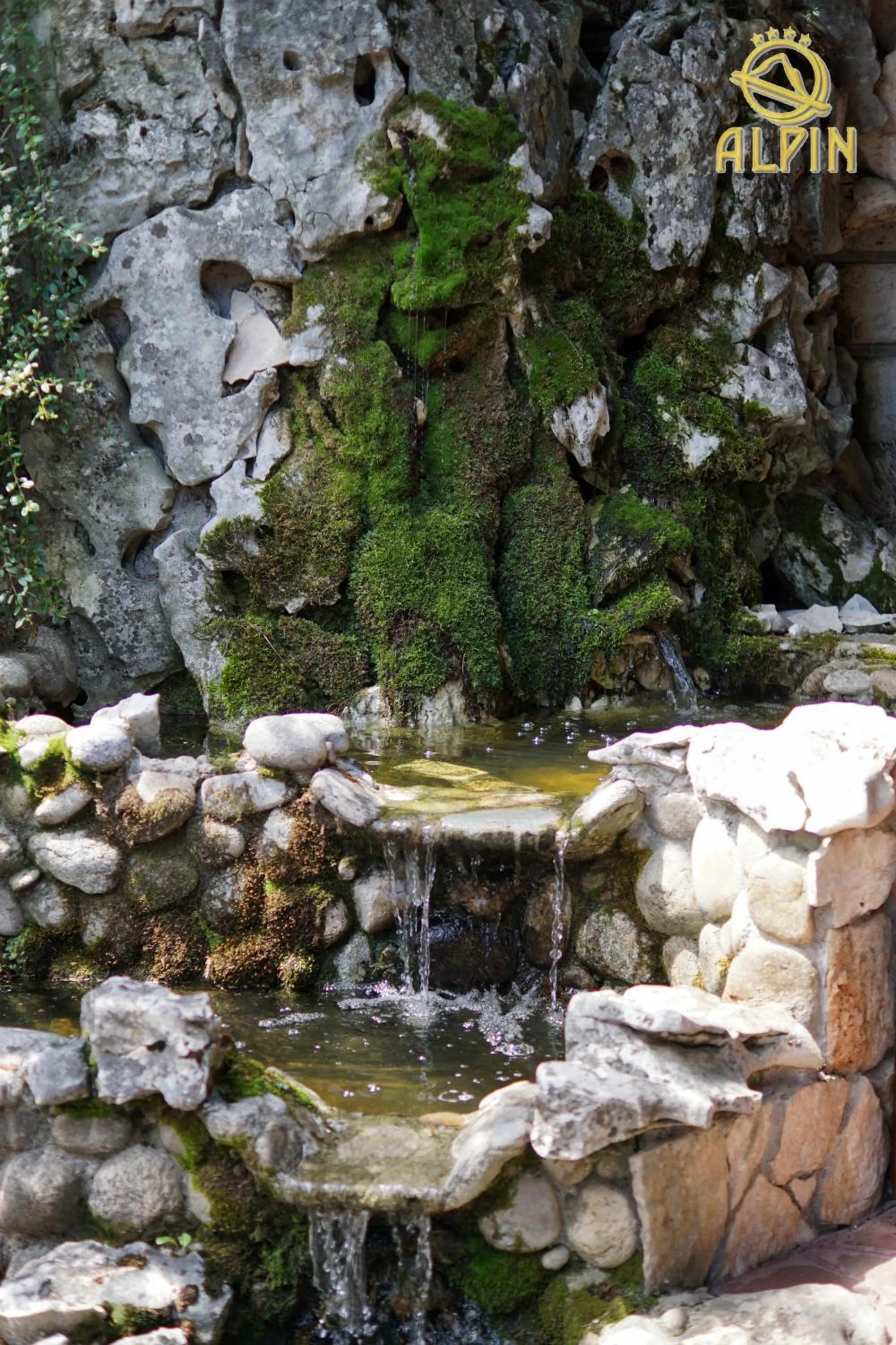 Restaurant/places to eat in Alpin Borovets, Алпин Боровец