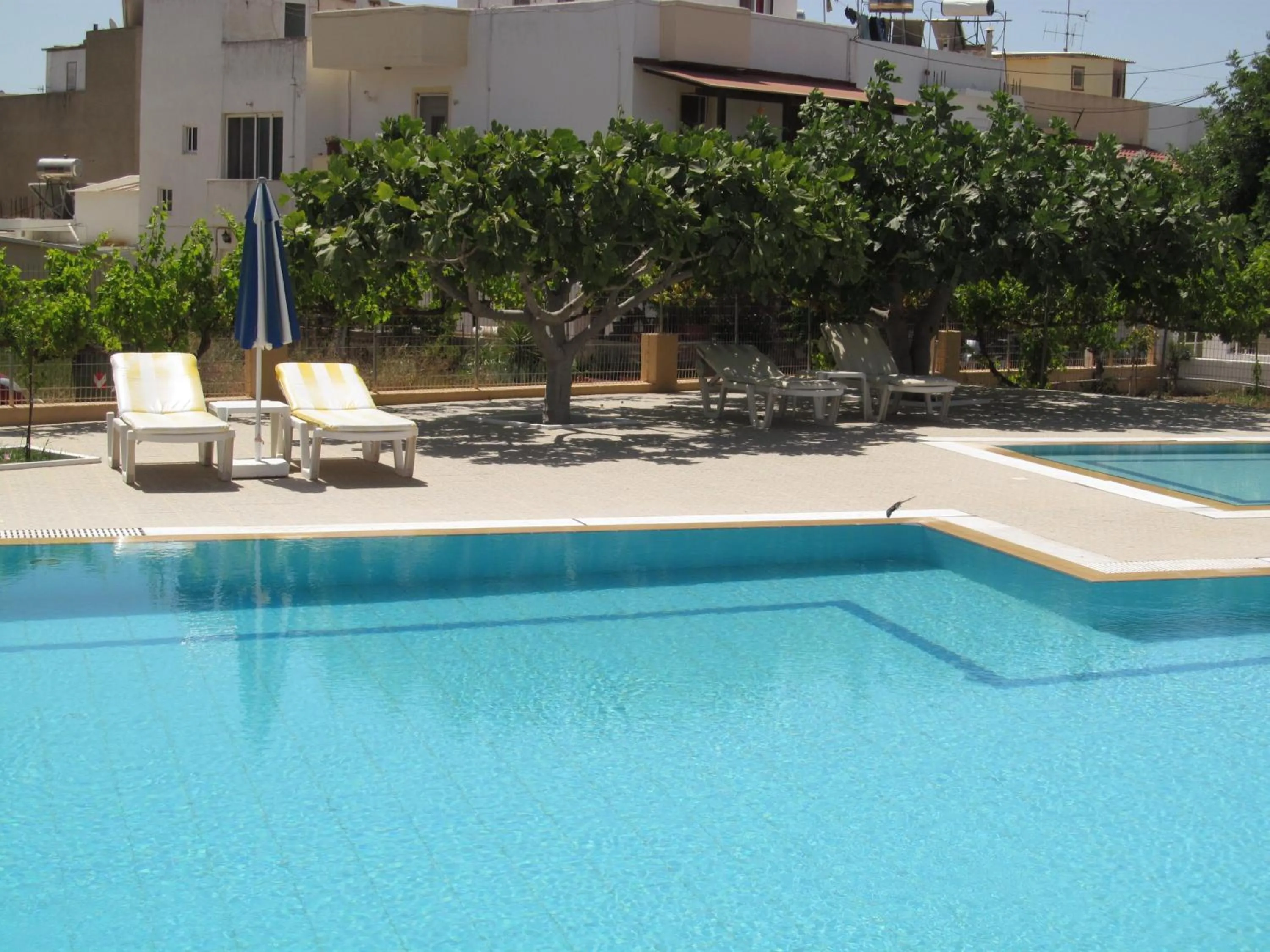 Swimming pool in Paraschos Studios Kos