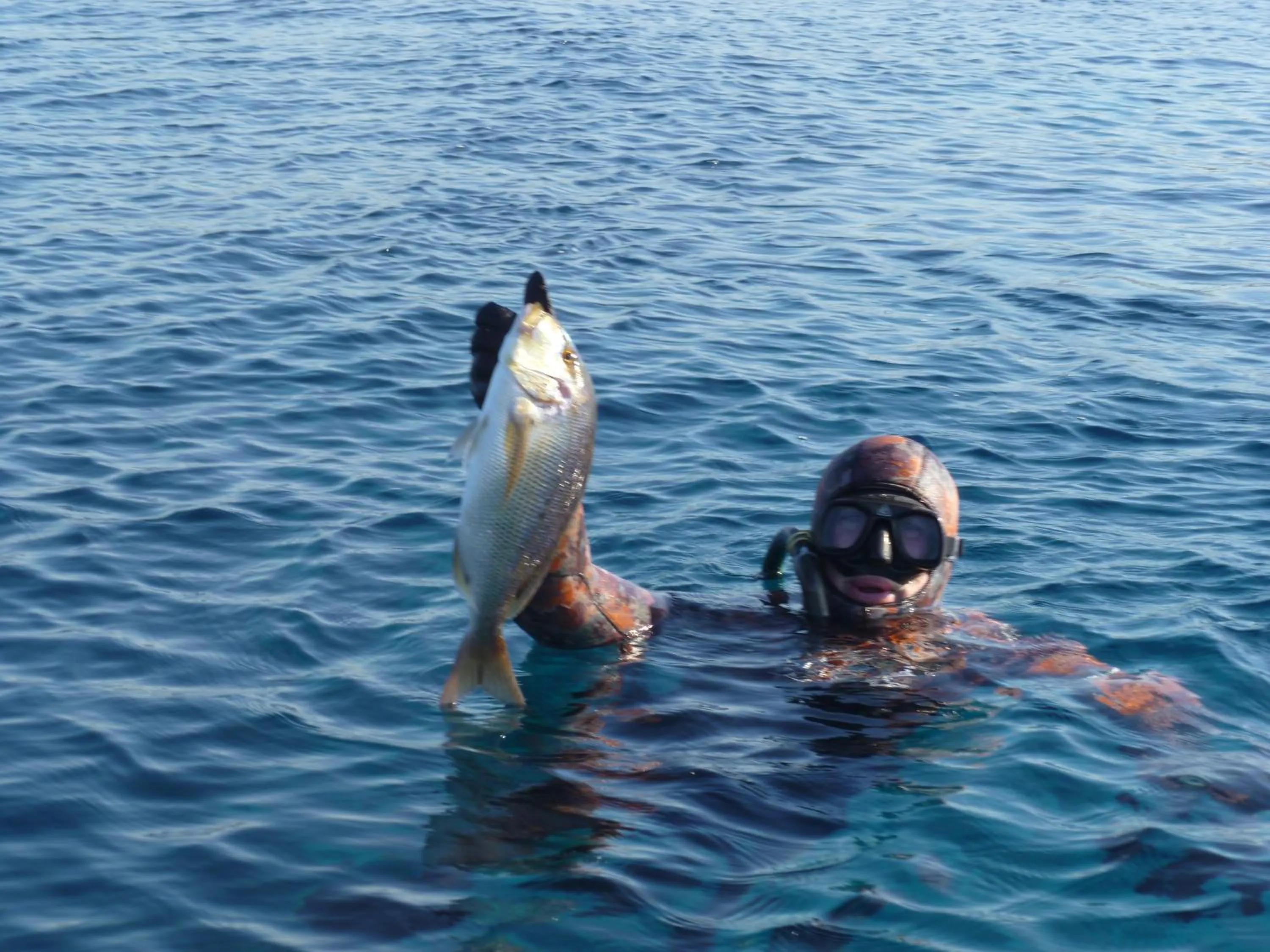 Fishing in Paraschos Studios Kos