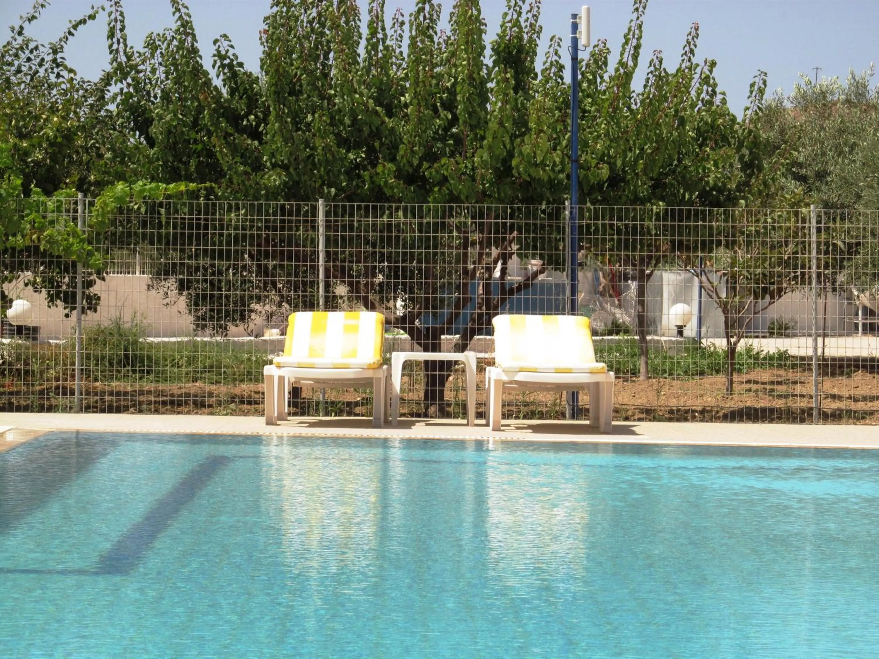 Swimming pool in Paraschos Studios Kos