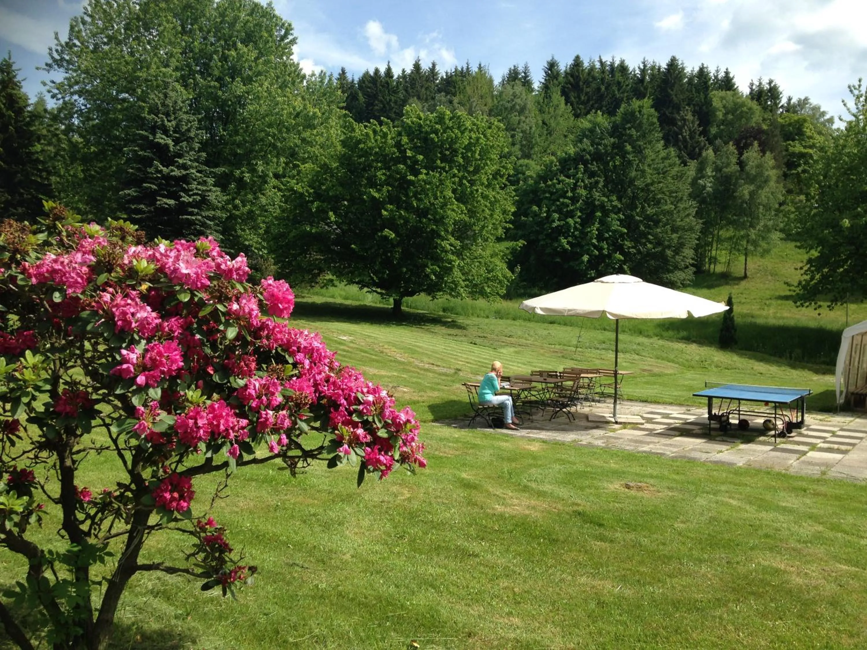 Garden in Hostel im Osterzgebirge