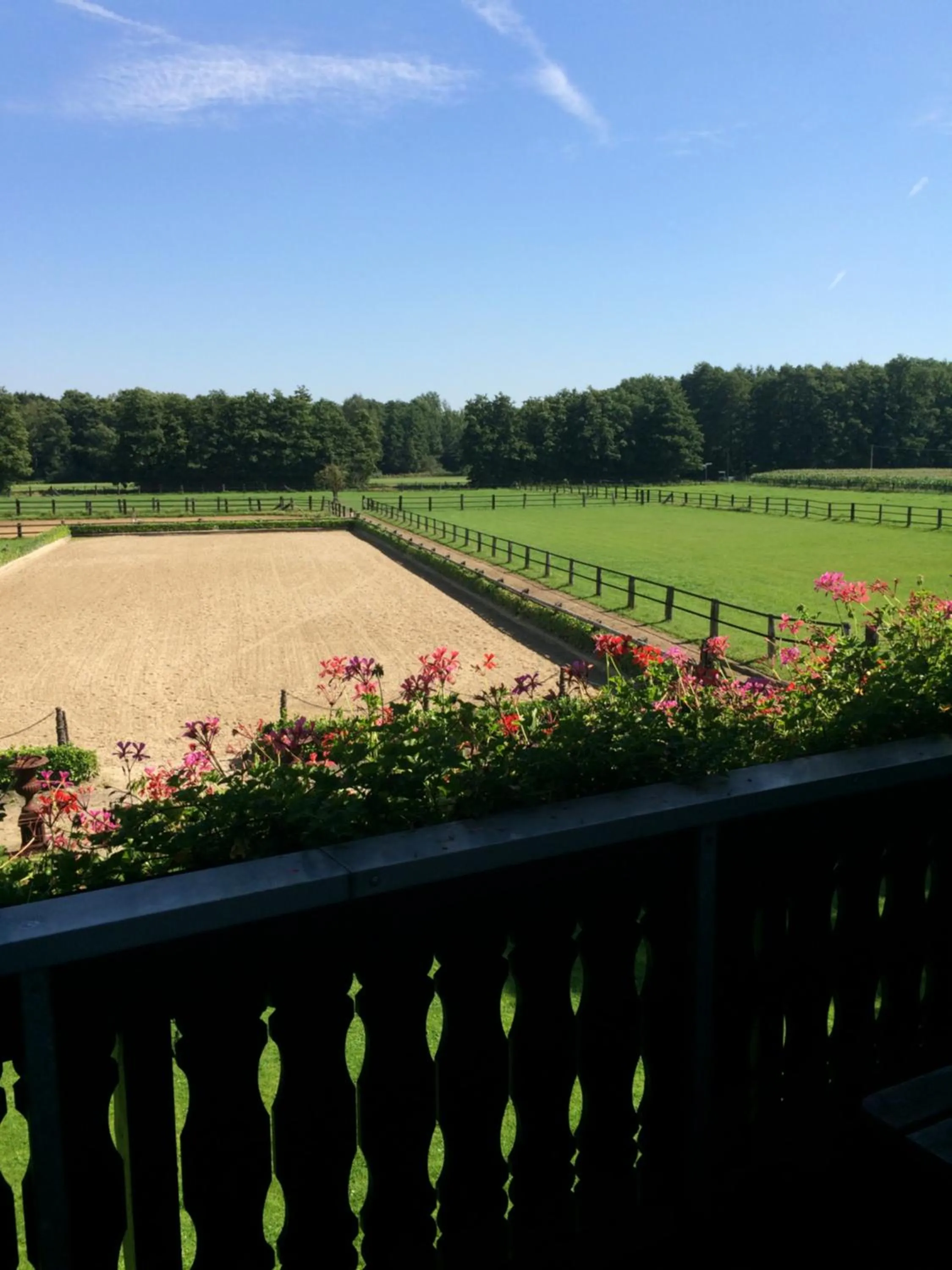 Garden in Landhotel Linden am Venekotensee