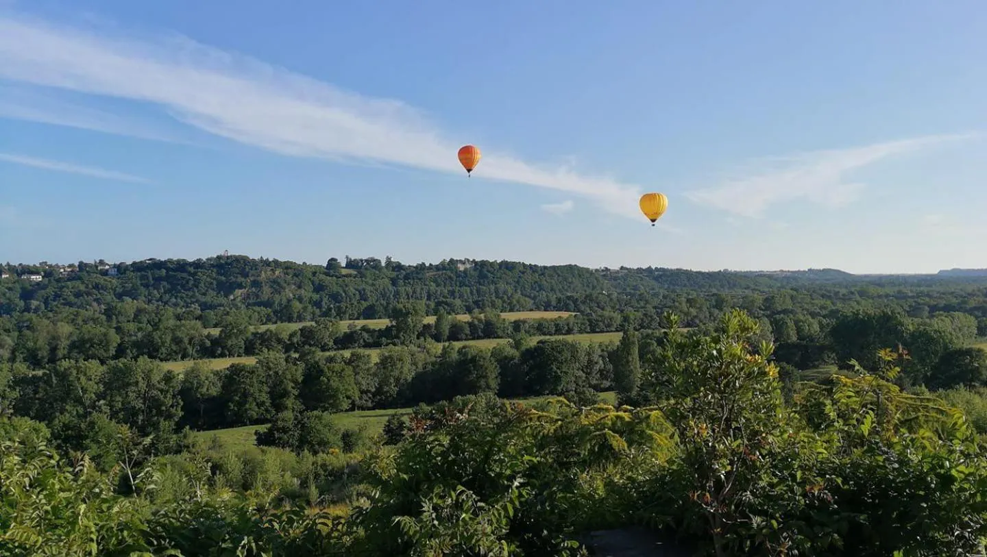 Natural landscape in Château Haute Roche