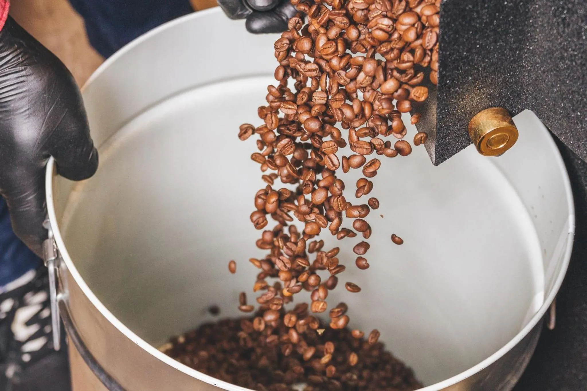 Restaurant/places to eat in 7 Gaia Roaster Apartments