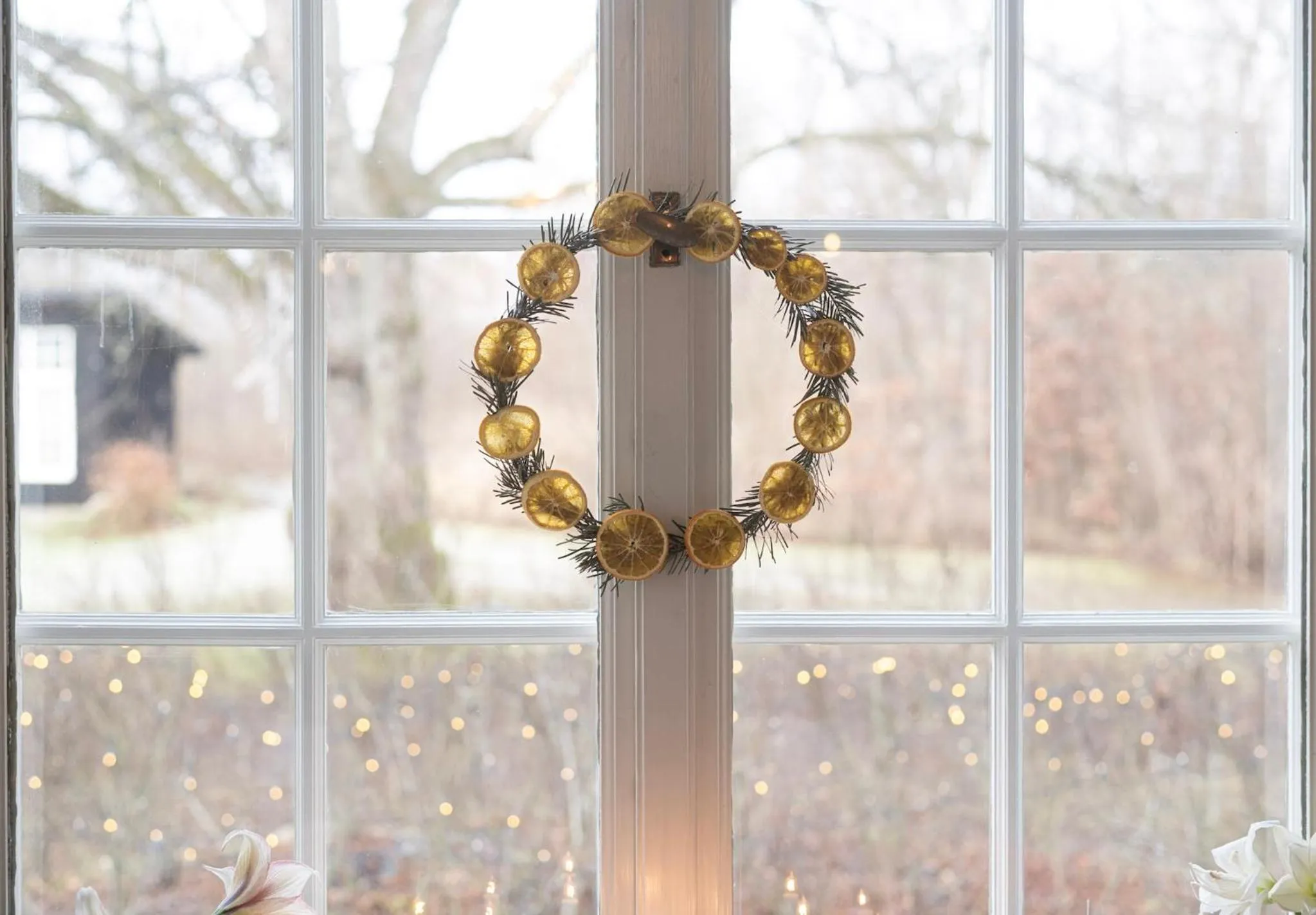 Restaurant/places to eat in Villa Gransholm