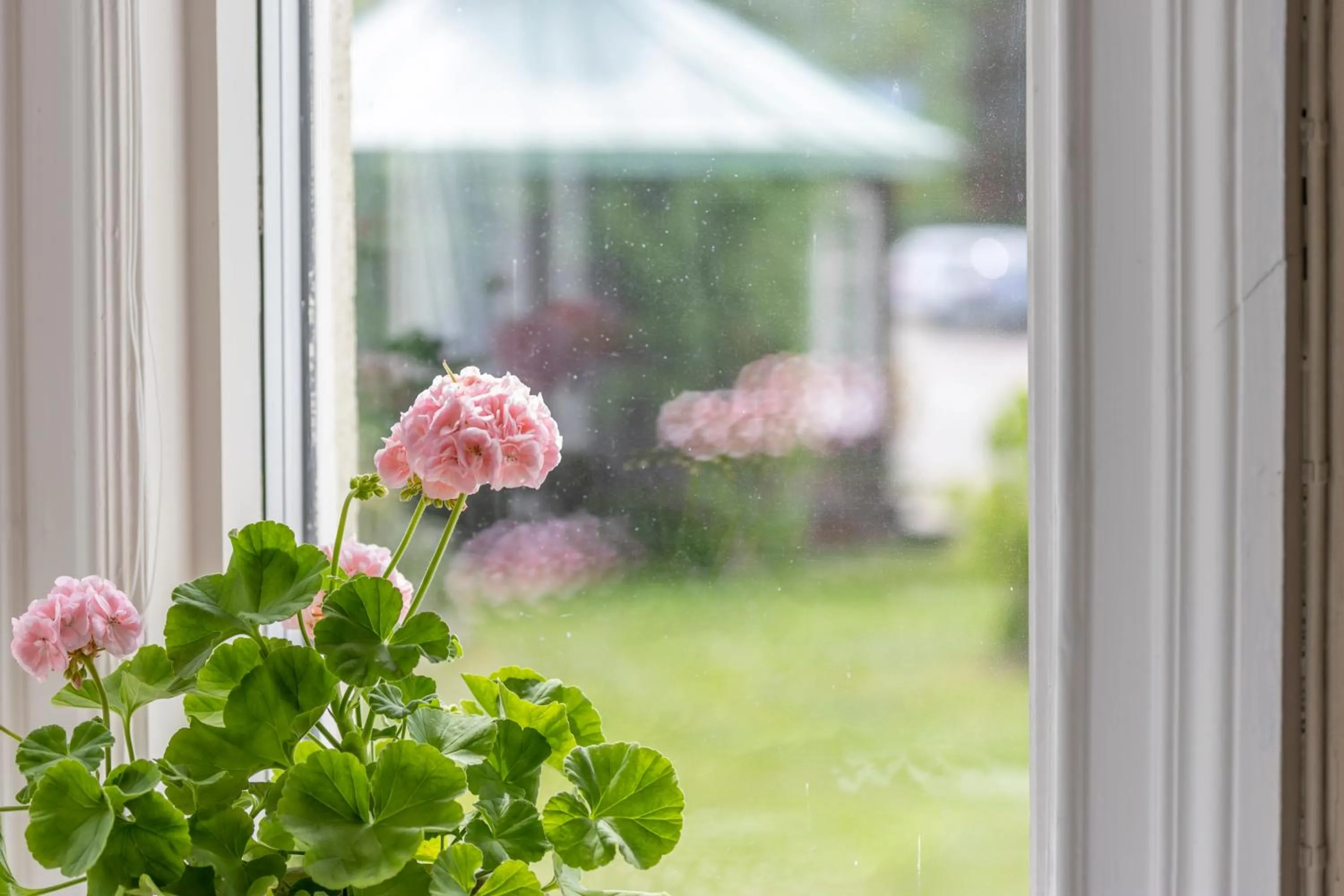 Restaurant/places to eat in Villa Gransholm