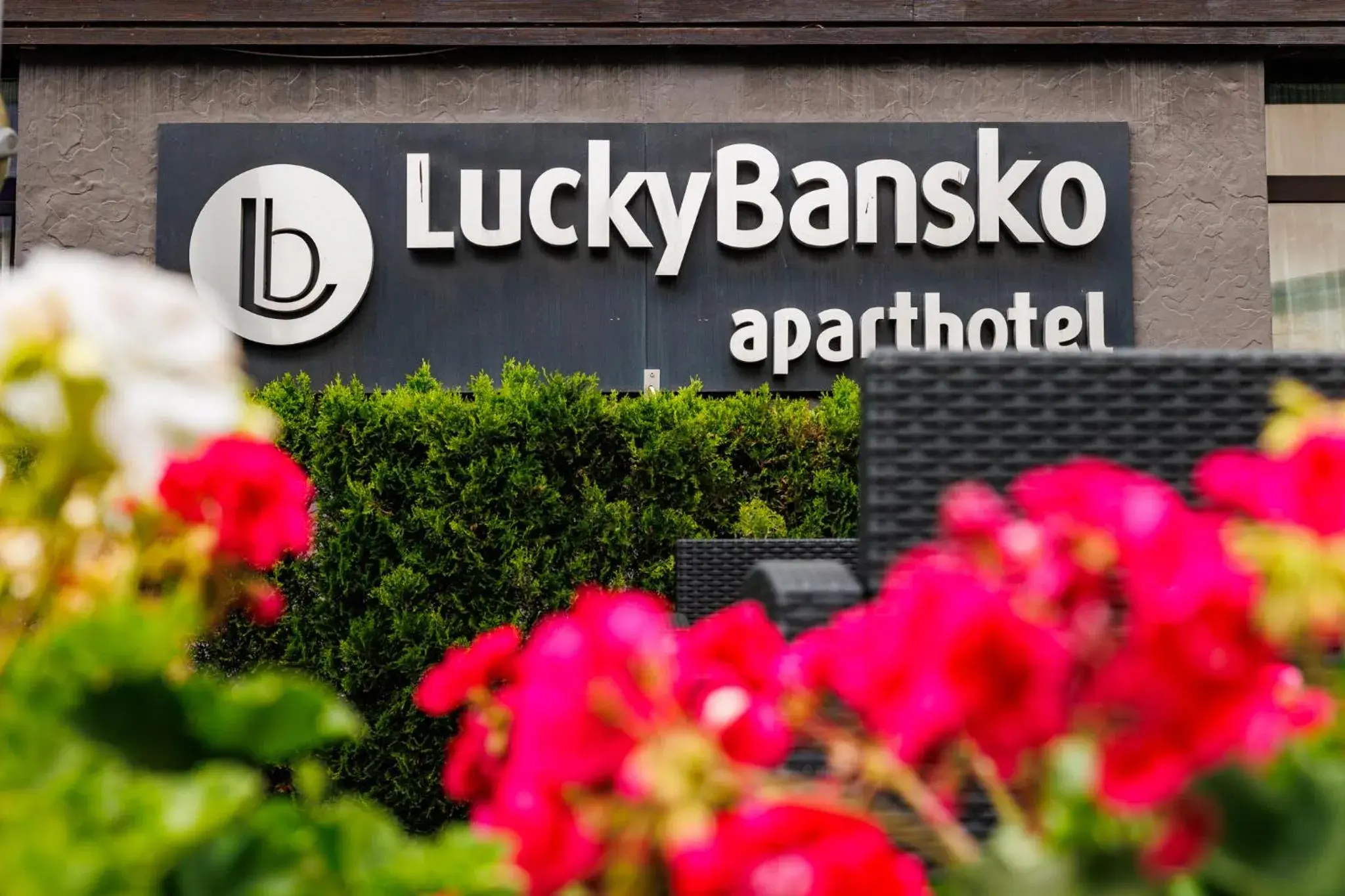 Property building in Lucky Bansko Aparthotel SPA & Relax Property building in Lucky Bansko Aparthotel SPA & Relax