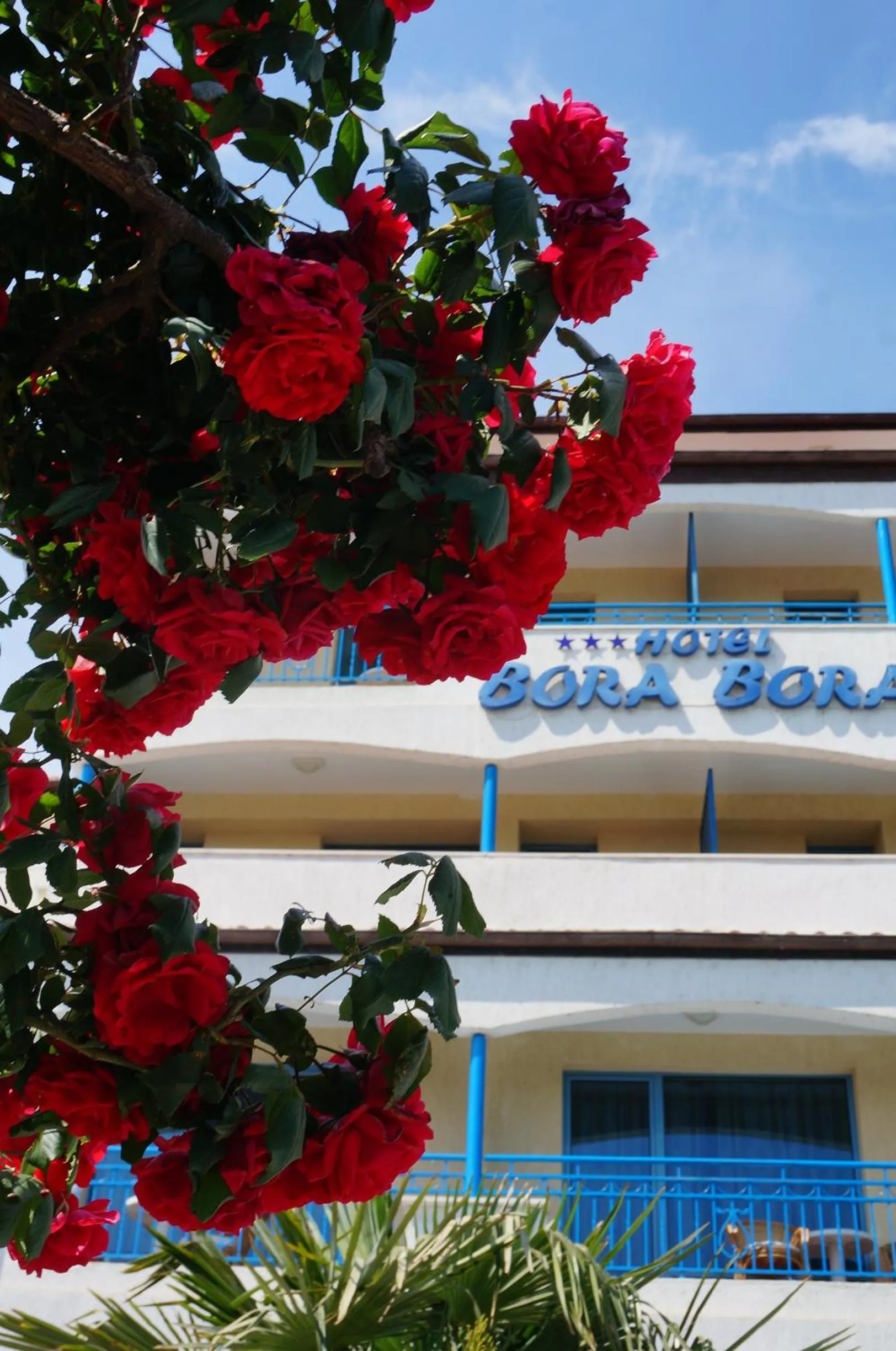 Facade/entrance in Bora Bora Hotel