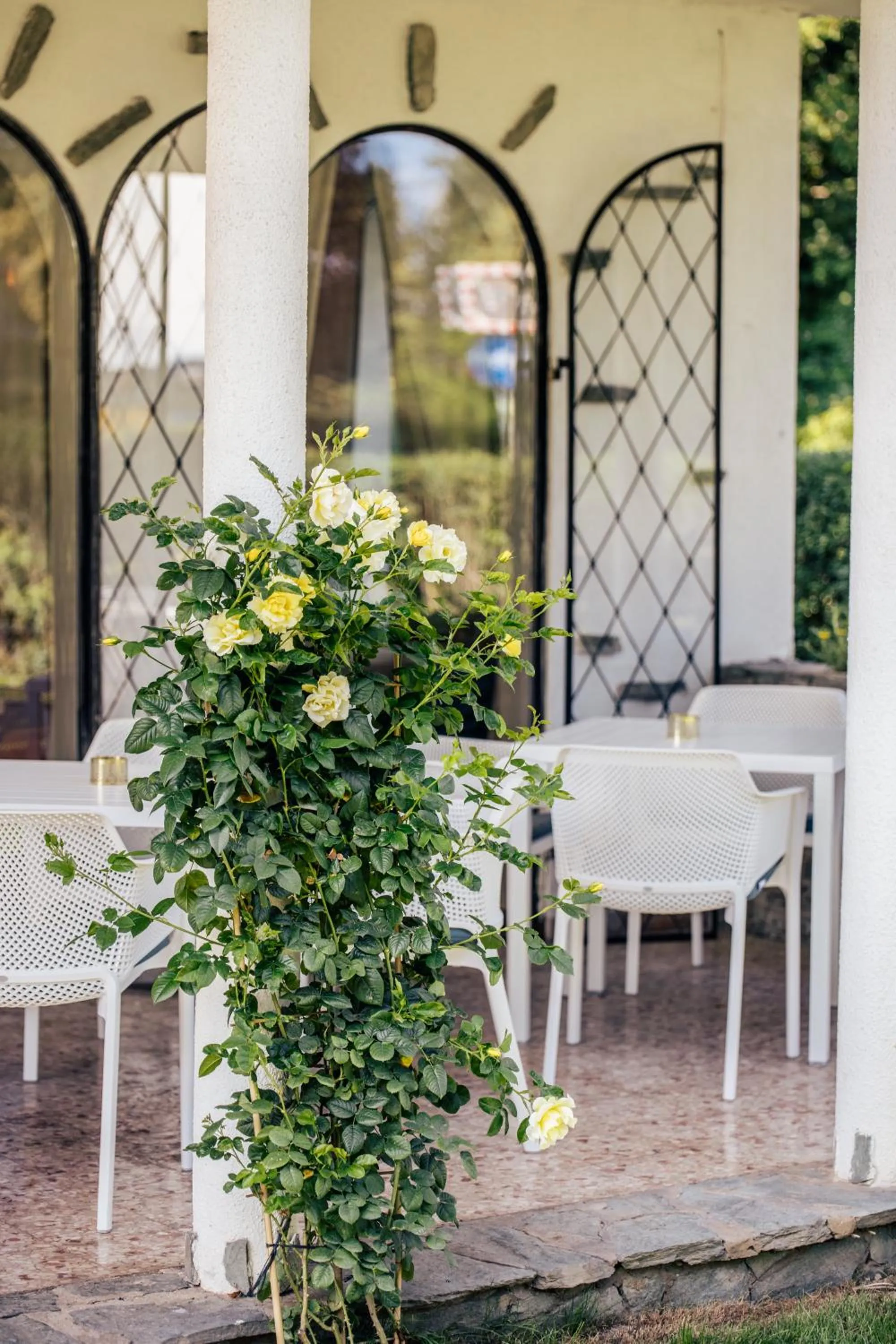 Property building in Boutiquehotel Caravella Velden by S4Y