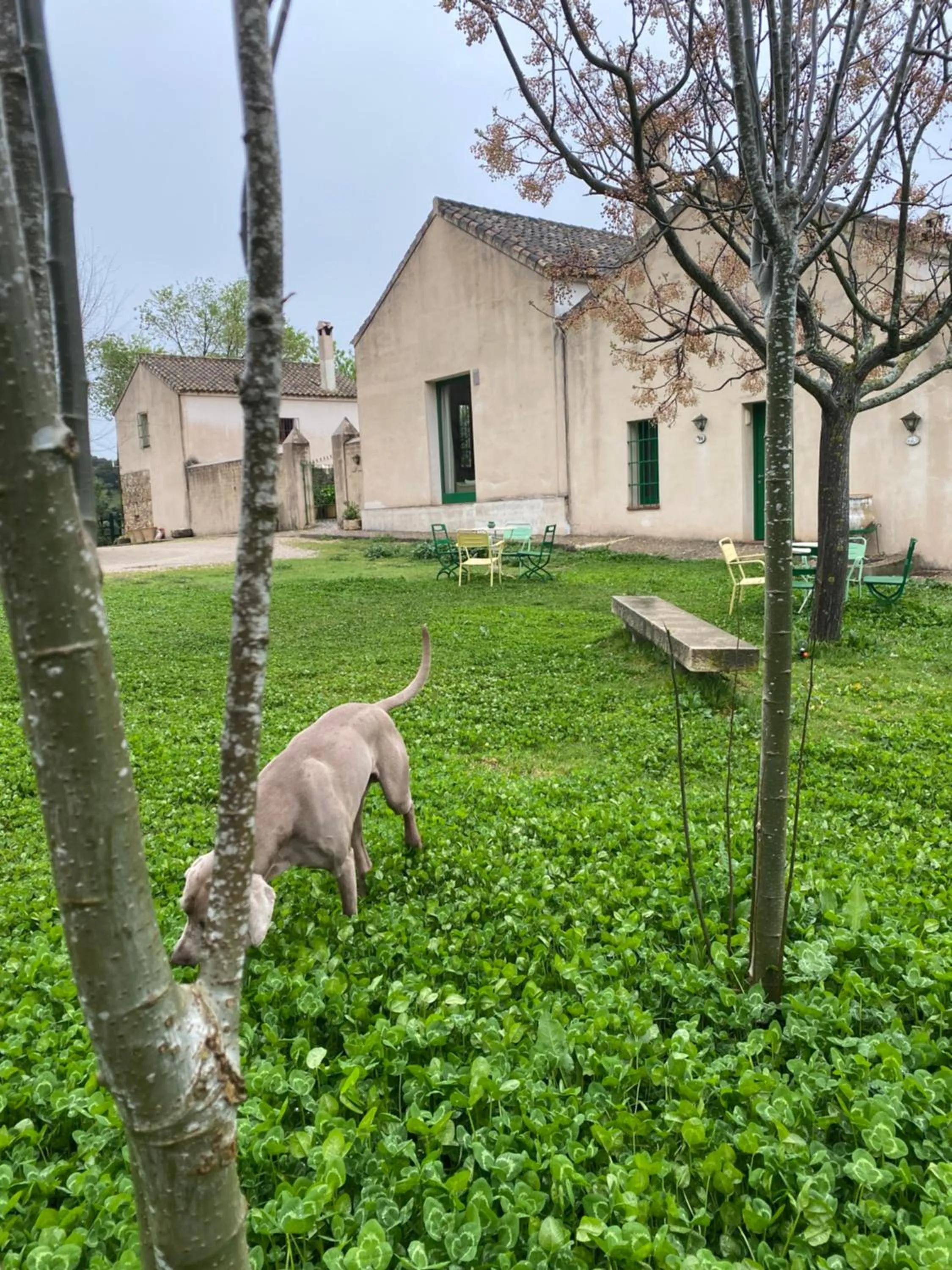 Casa Rural El Vihuelo