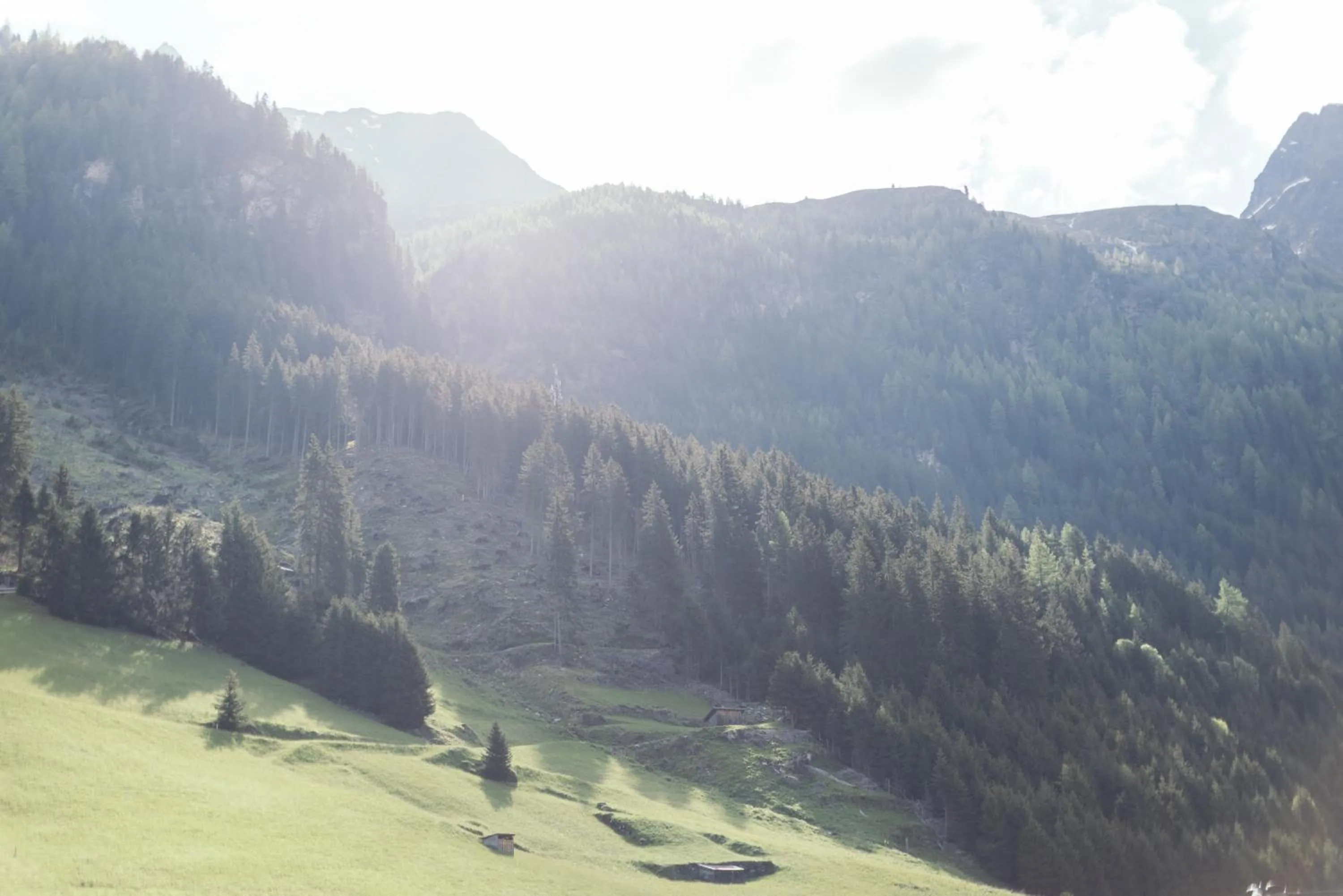 View (from property/room) in Hotel Garni Romantika