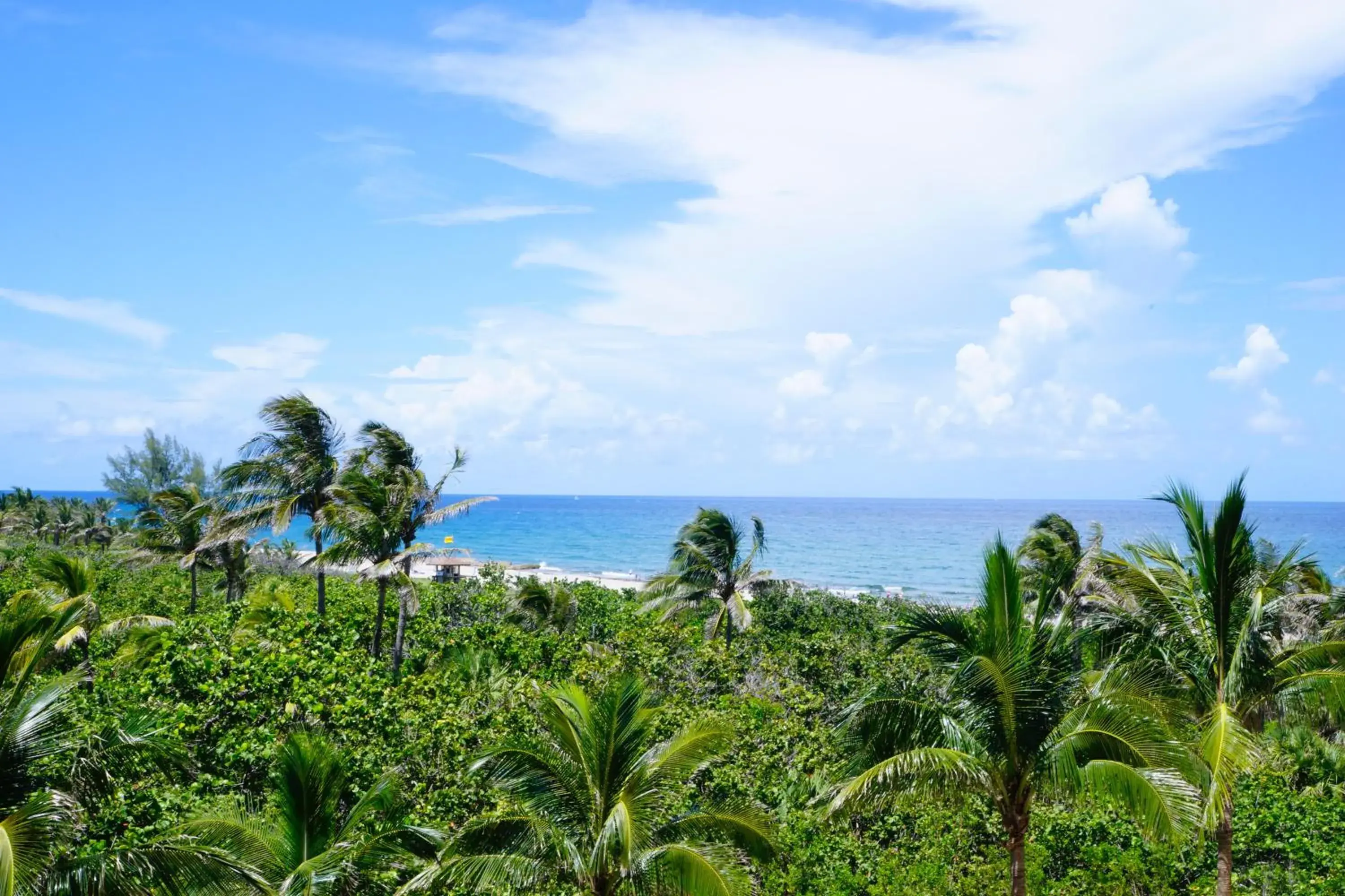 Palm Beach Singer Island Resort & Spa Luxury Suites