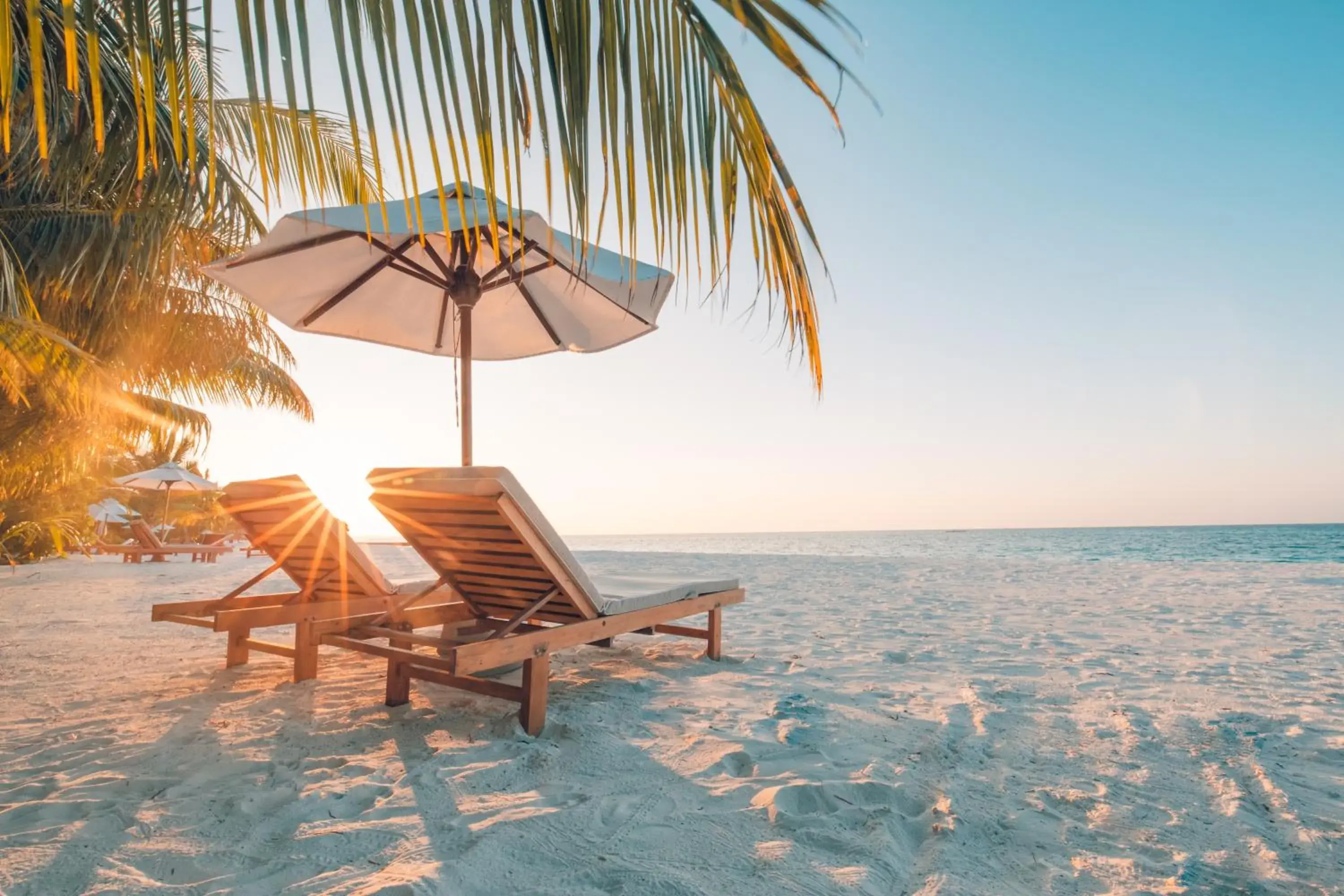 Beach in Palm Beach Singer Island Resort & Spa Luxury Suites