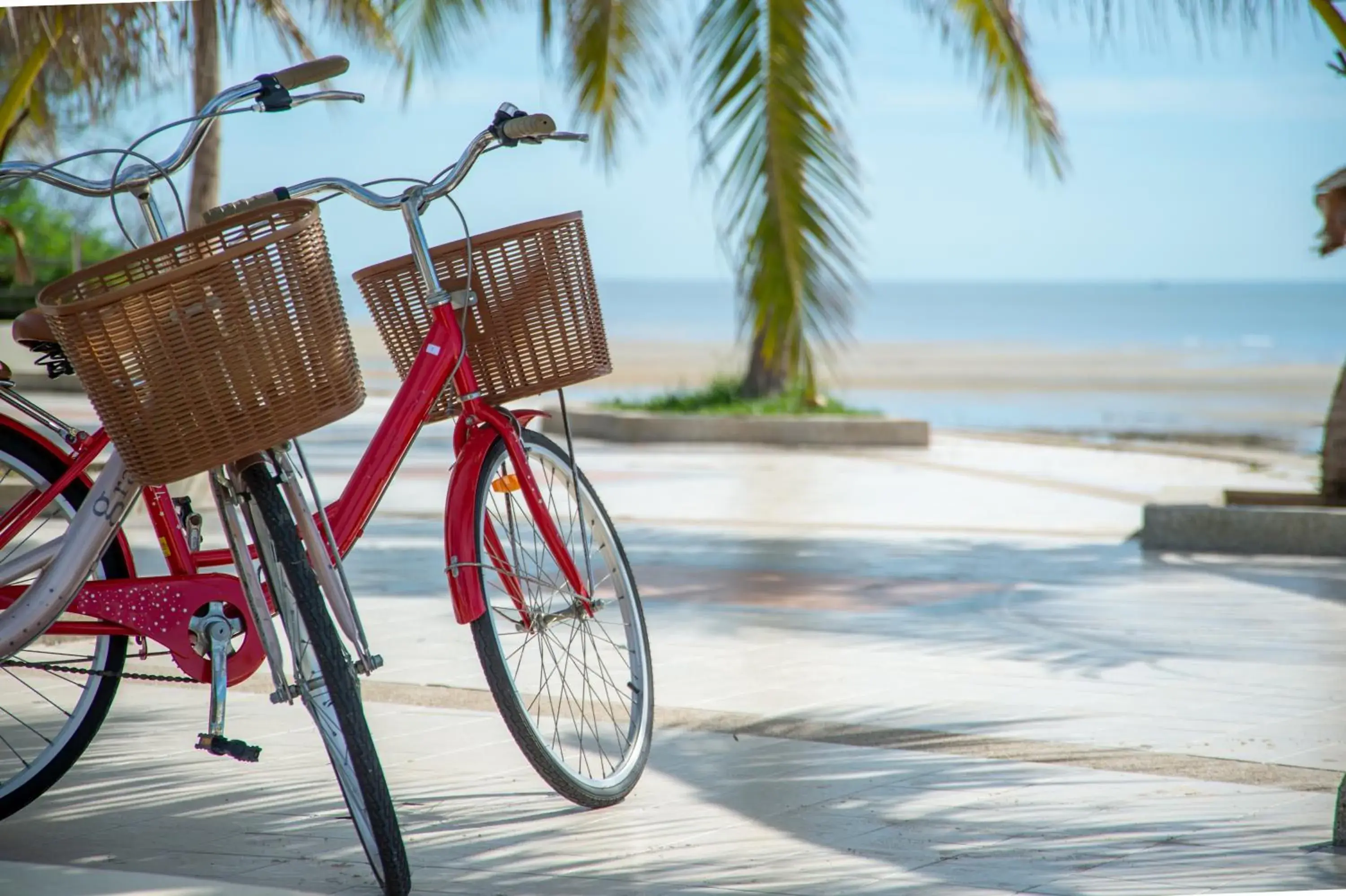 Cycling in Palm Beach Singer Island Resort & Spa Luxury Suites