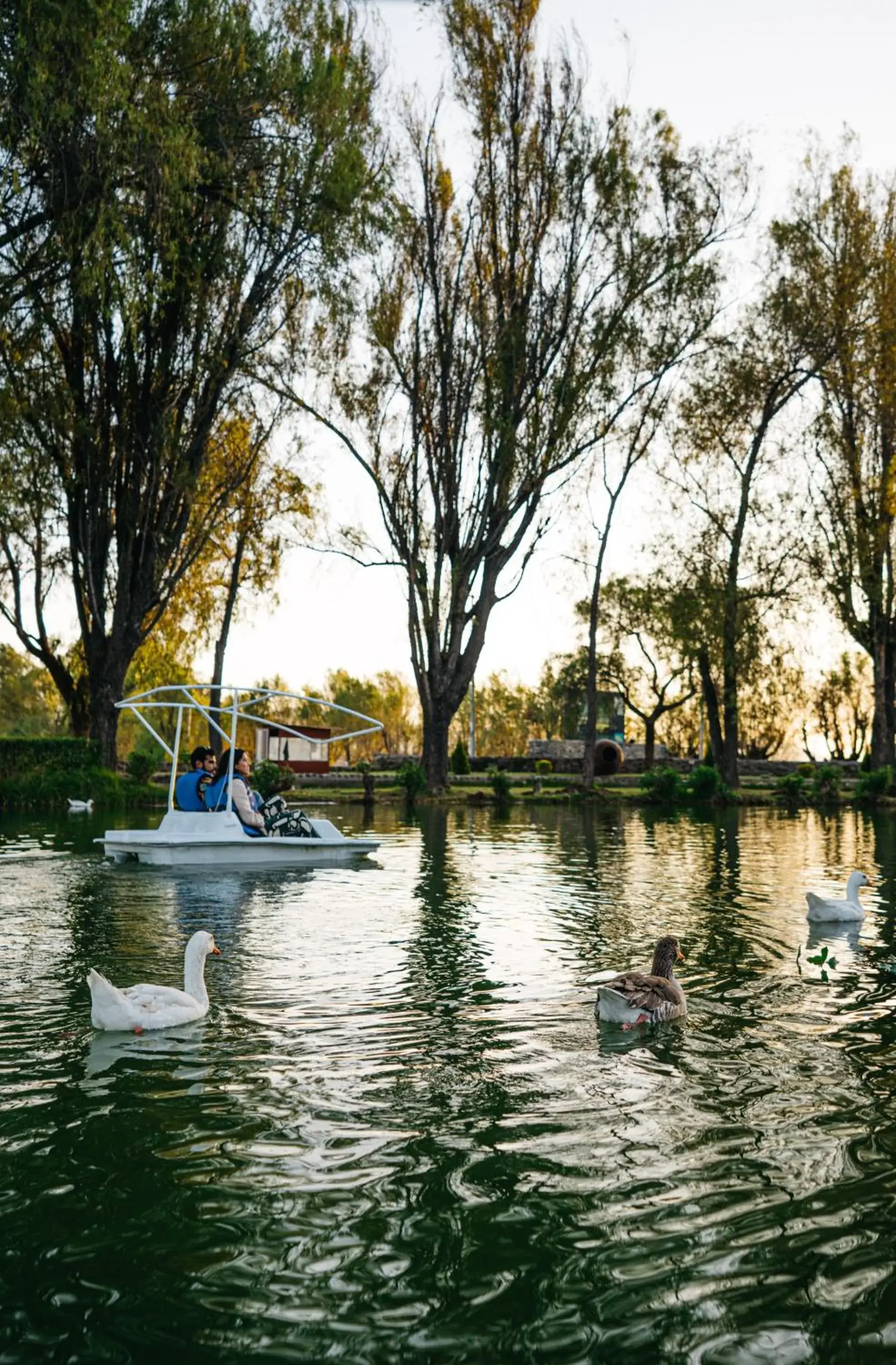 Lake view in BTH Hotel Arequipa Lake Lake view in BTH Hotel Arequipa Lake