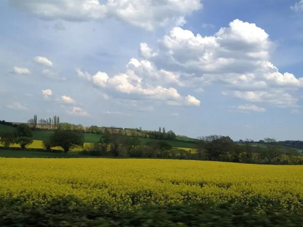 View (from property/room) in Castle Lodge Wilton View (from property/room) in Castle Lodge Wilton