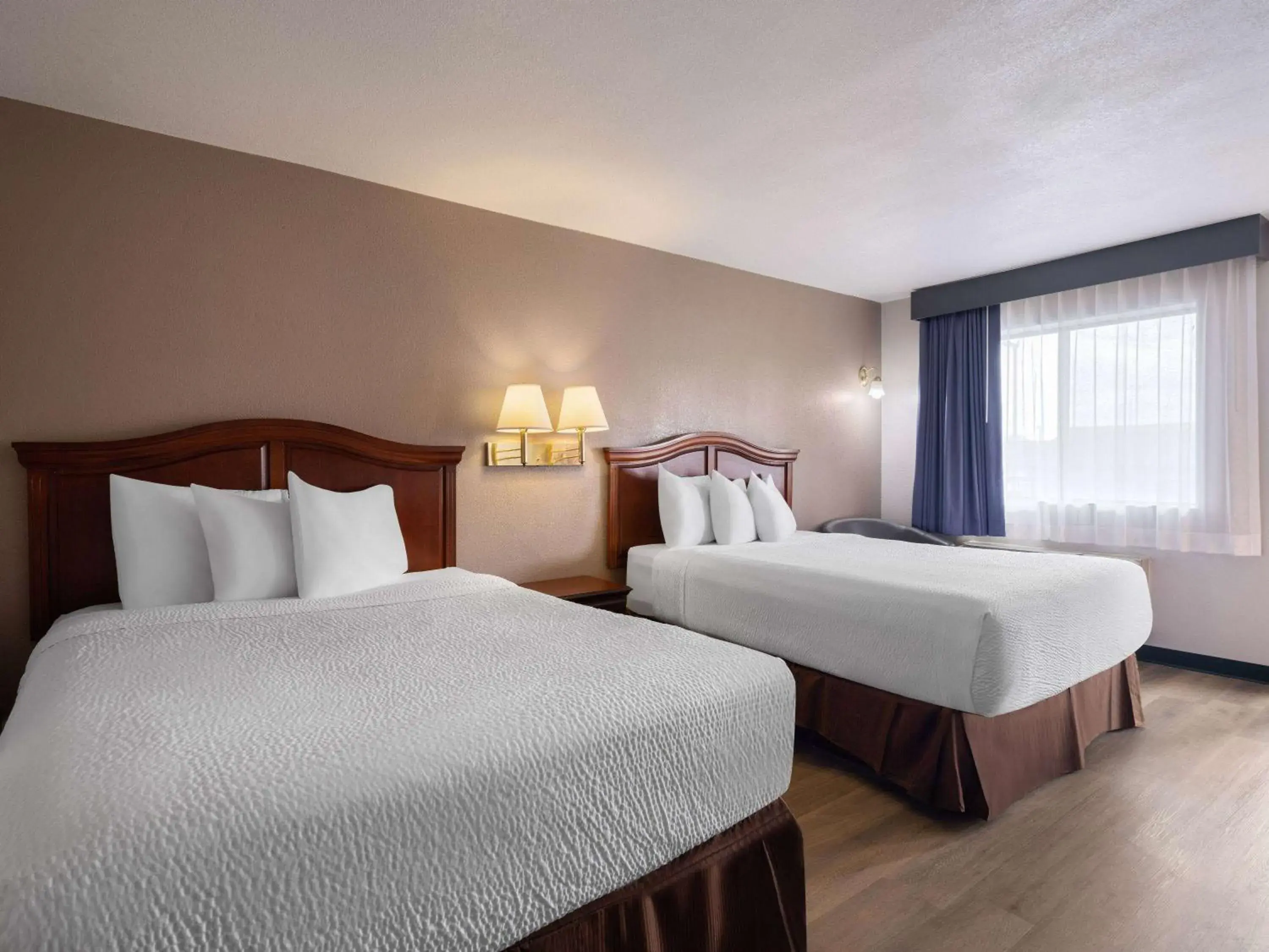 Photo of the whole room, Bed in Travelodge by Wyndham Tucson AZ Photo of the whole room, Bed in Travelodge by Wyndham Tucson AZ