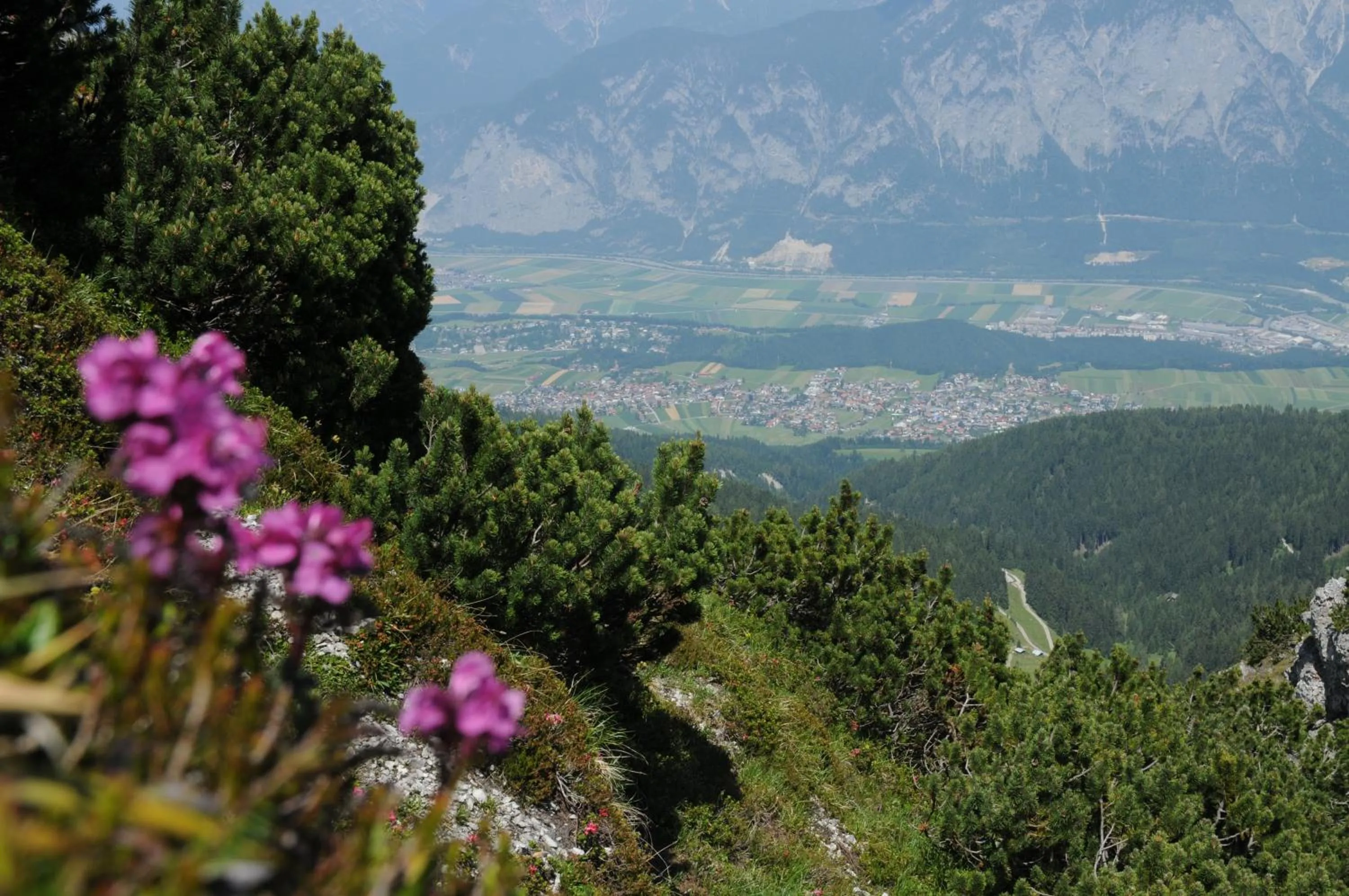 Natural landscape in Hotel Kleißl