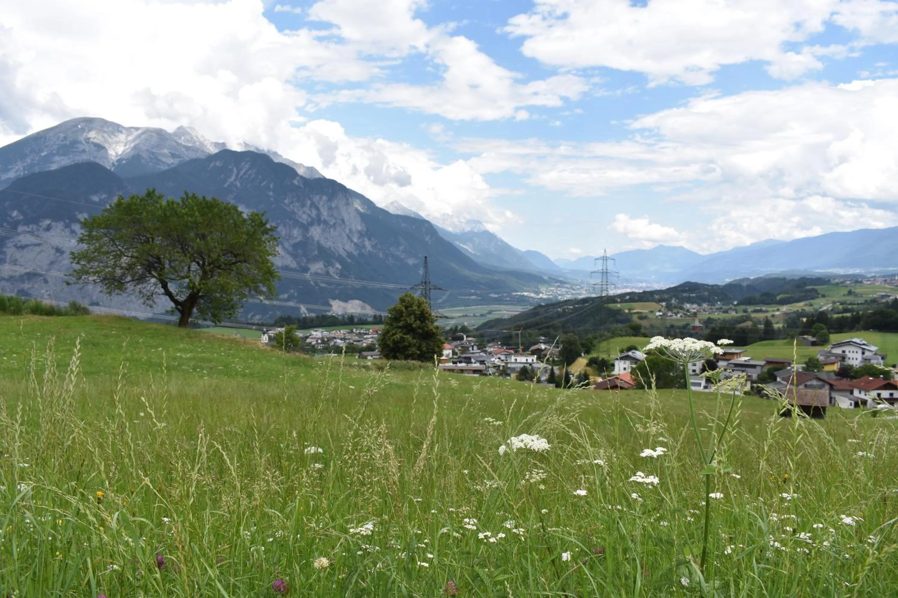 View (from property/room) in Hotel Kleißl
