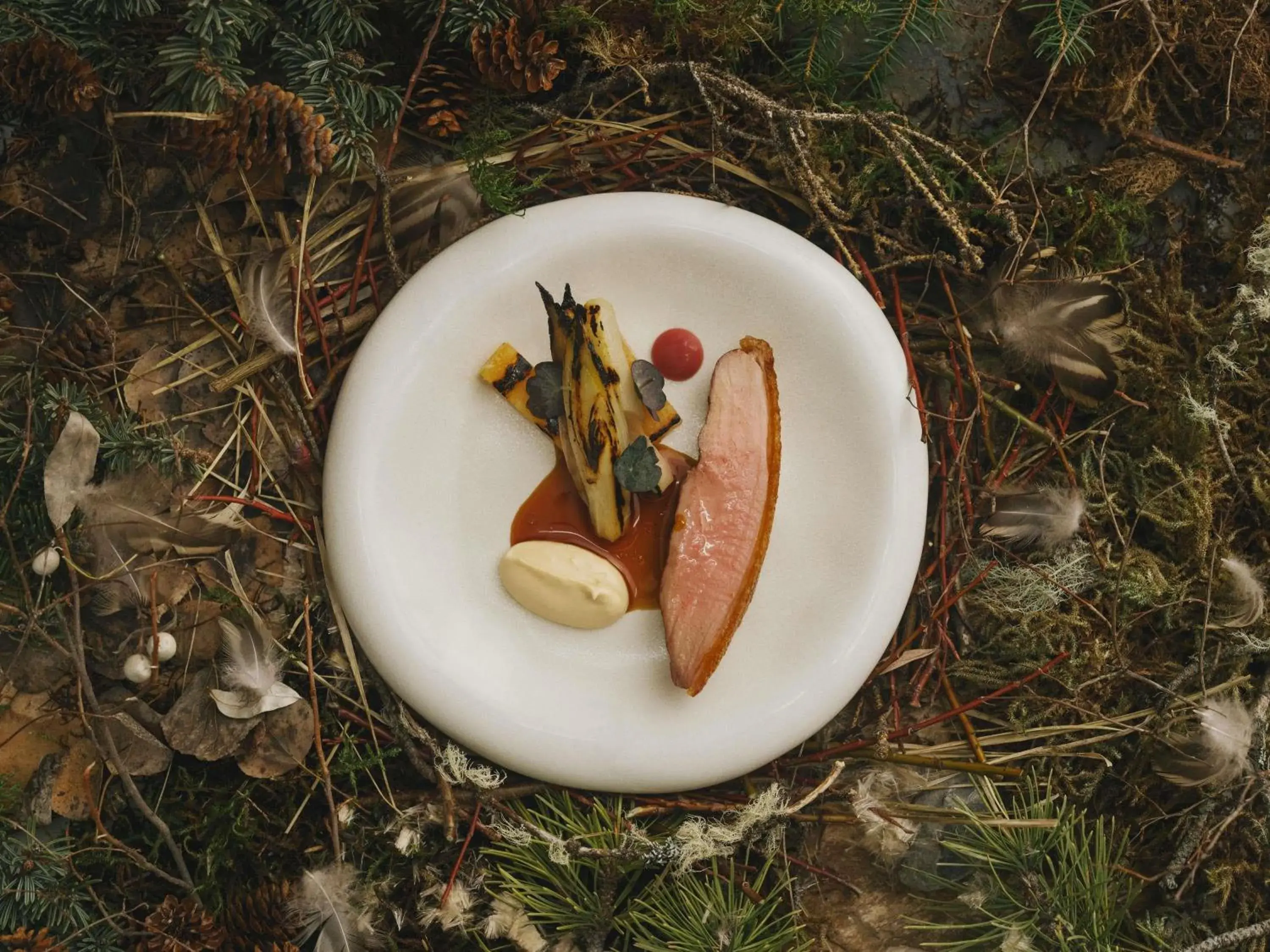 Restaurant/places to eat in Fairmont Banff Springs Restaurant/places to eat in Fairmont Banff Springs