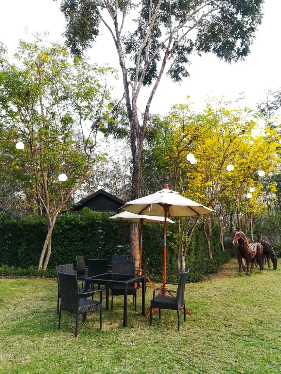 Garden in Doithinnan Resort