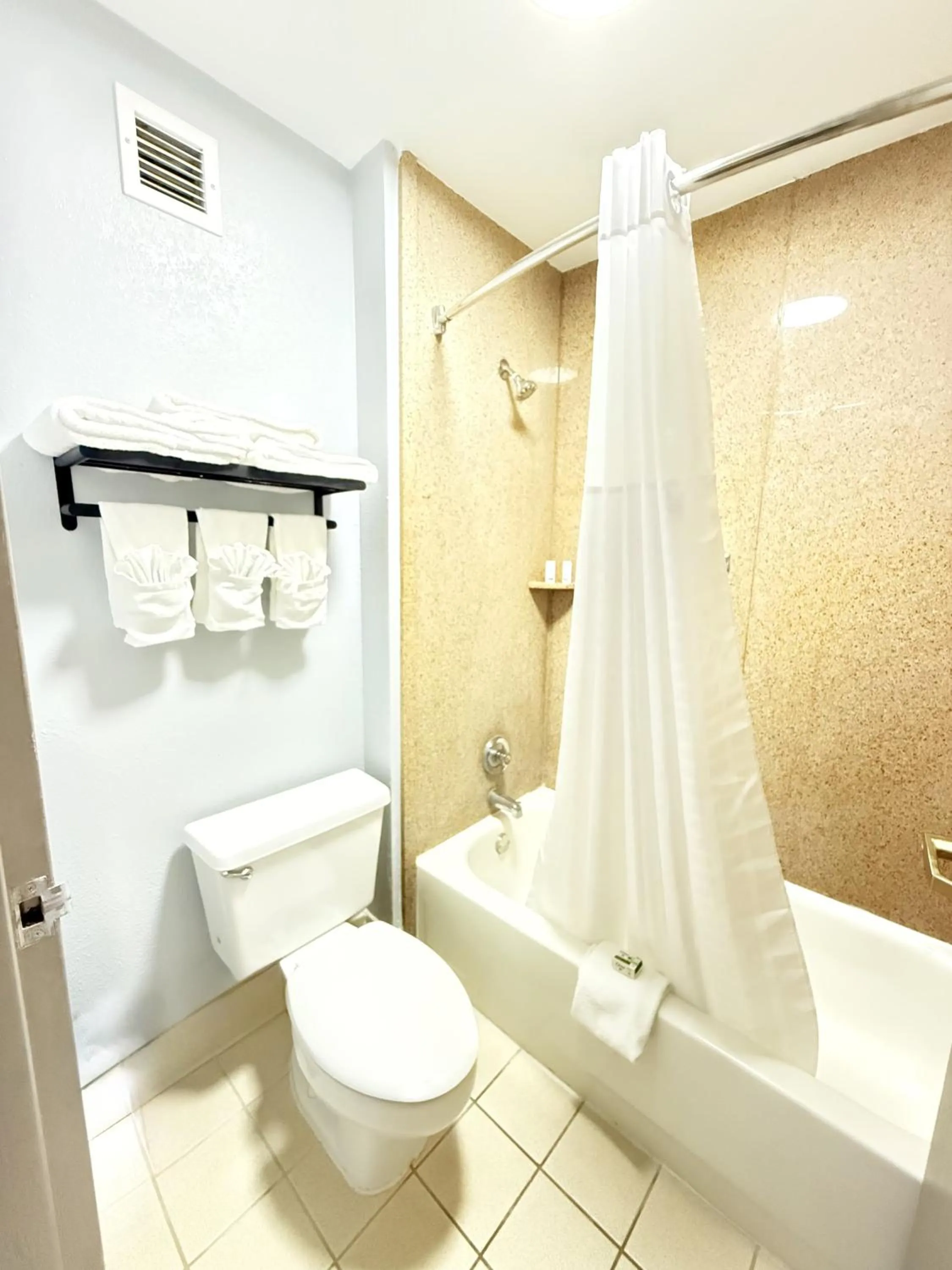 Bathroom in Baymont by Wyndham Tallahassee