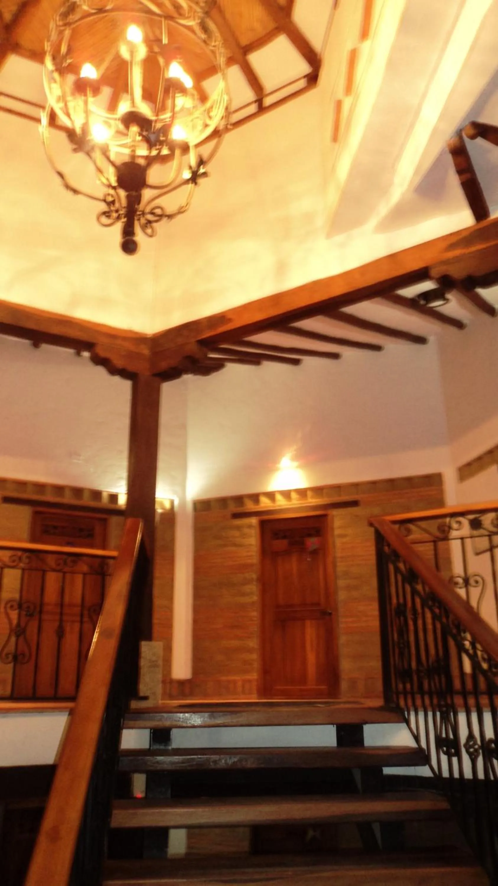 Bird's eye view in Hotel Boutique Villa Roma