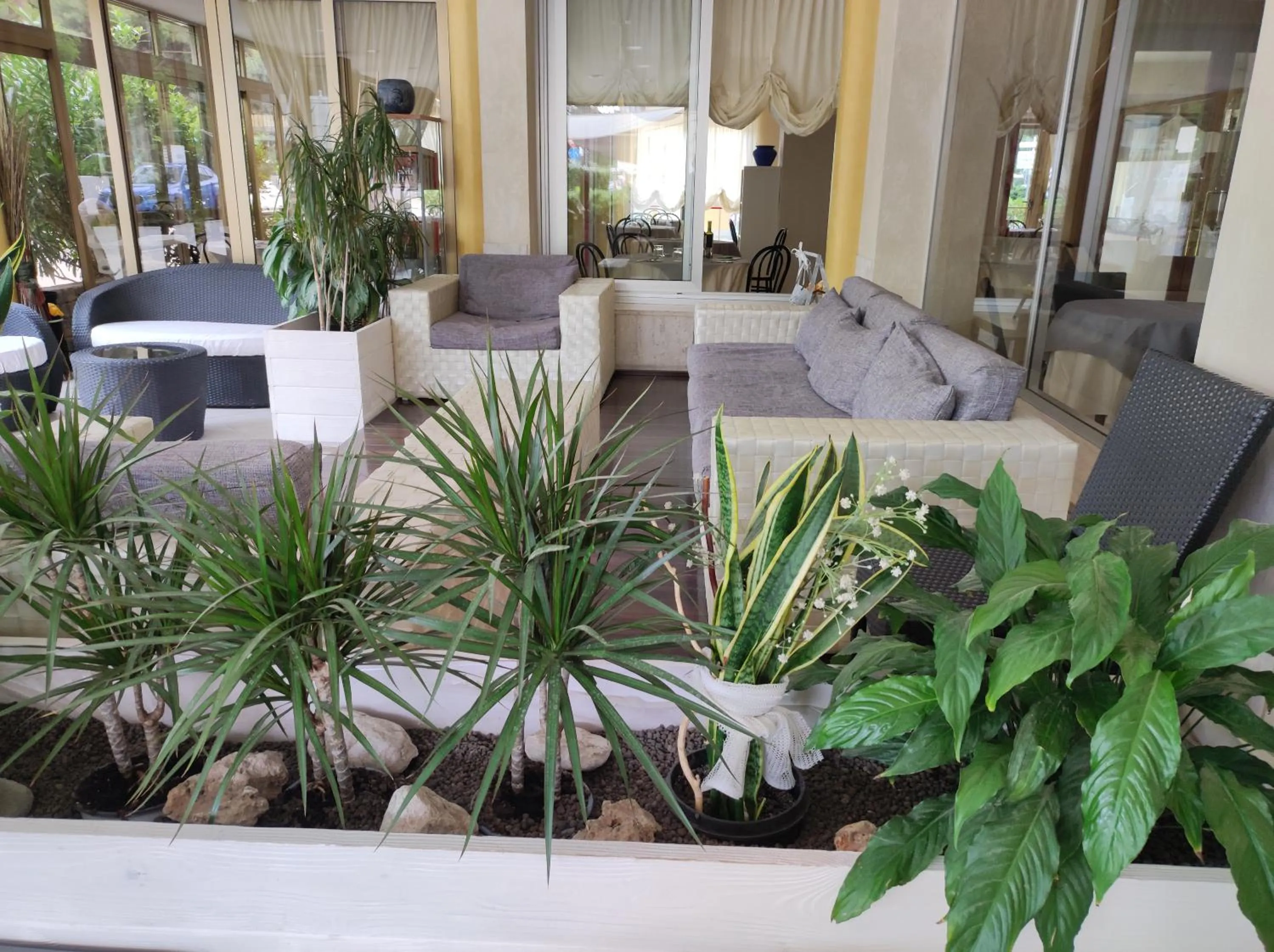 Patio in Hotel Antonella