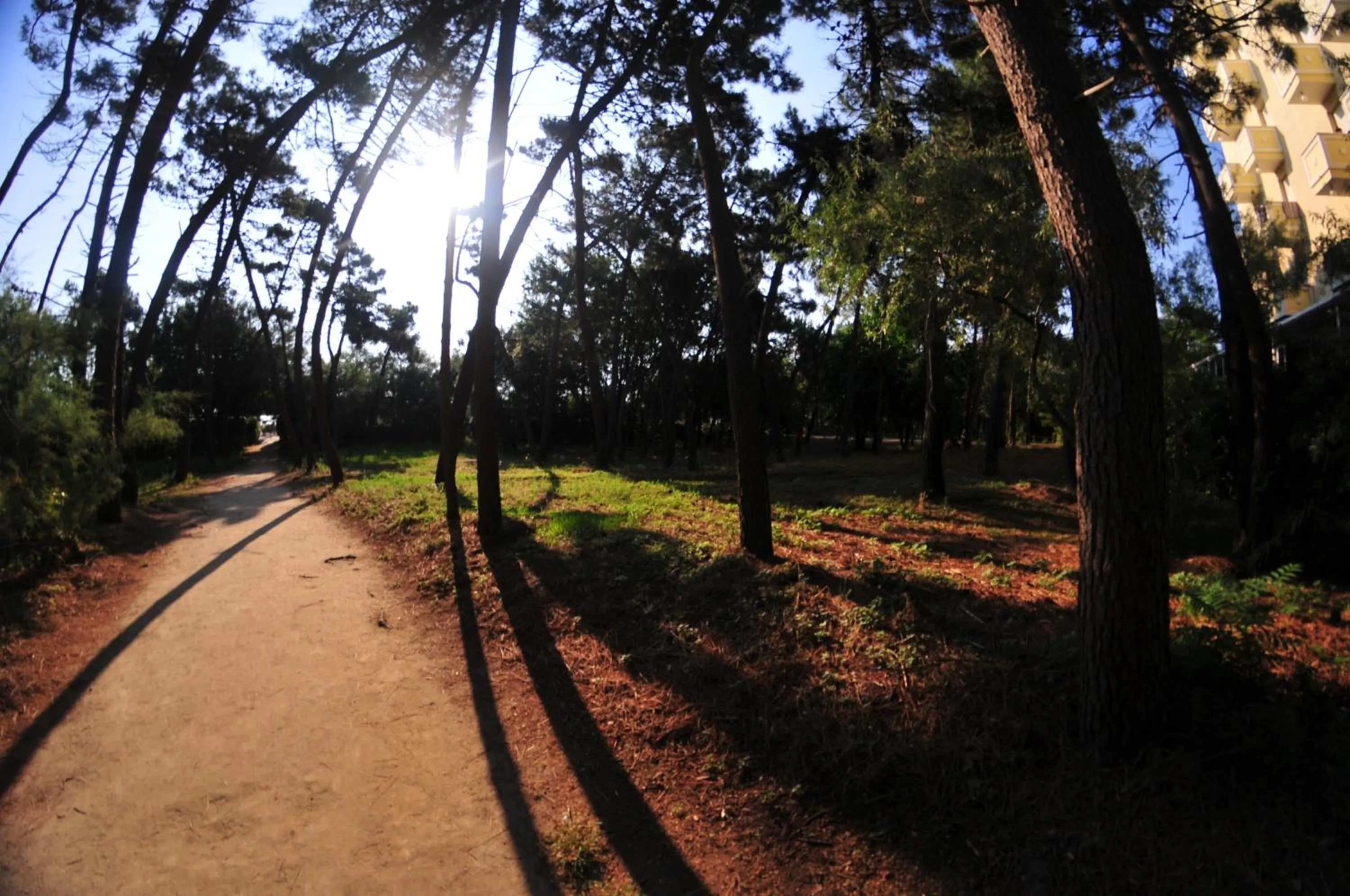 Natural landscape in Hotel Antonella