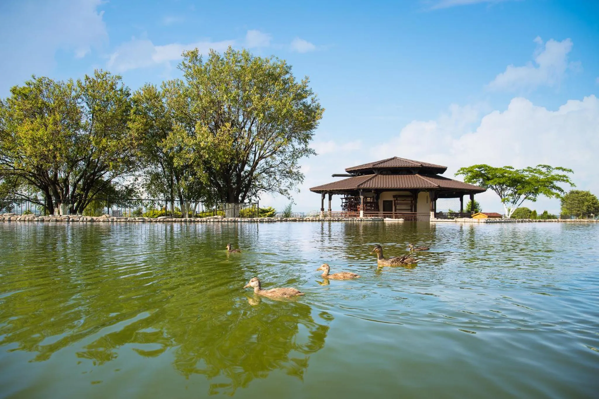 Natural landscape in Park & Spa Hotel Markovo