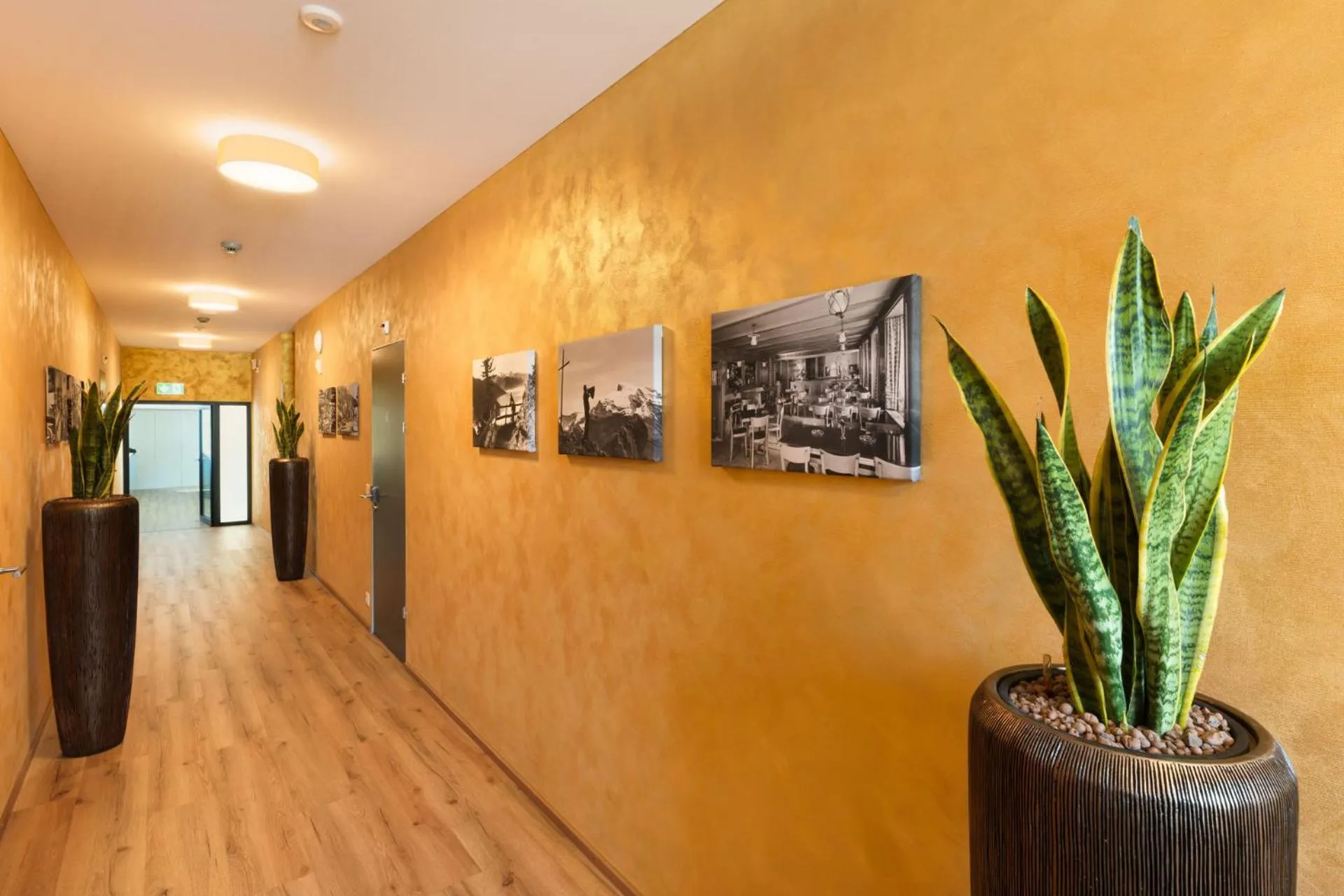 Property building in Hotel Engel